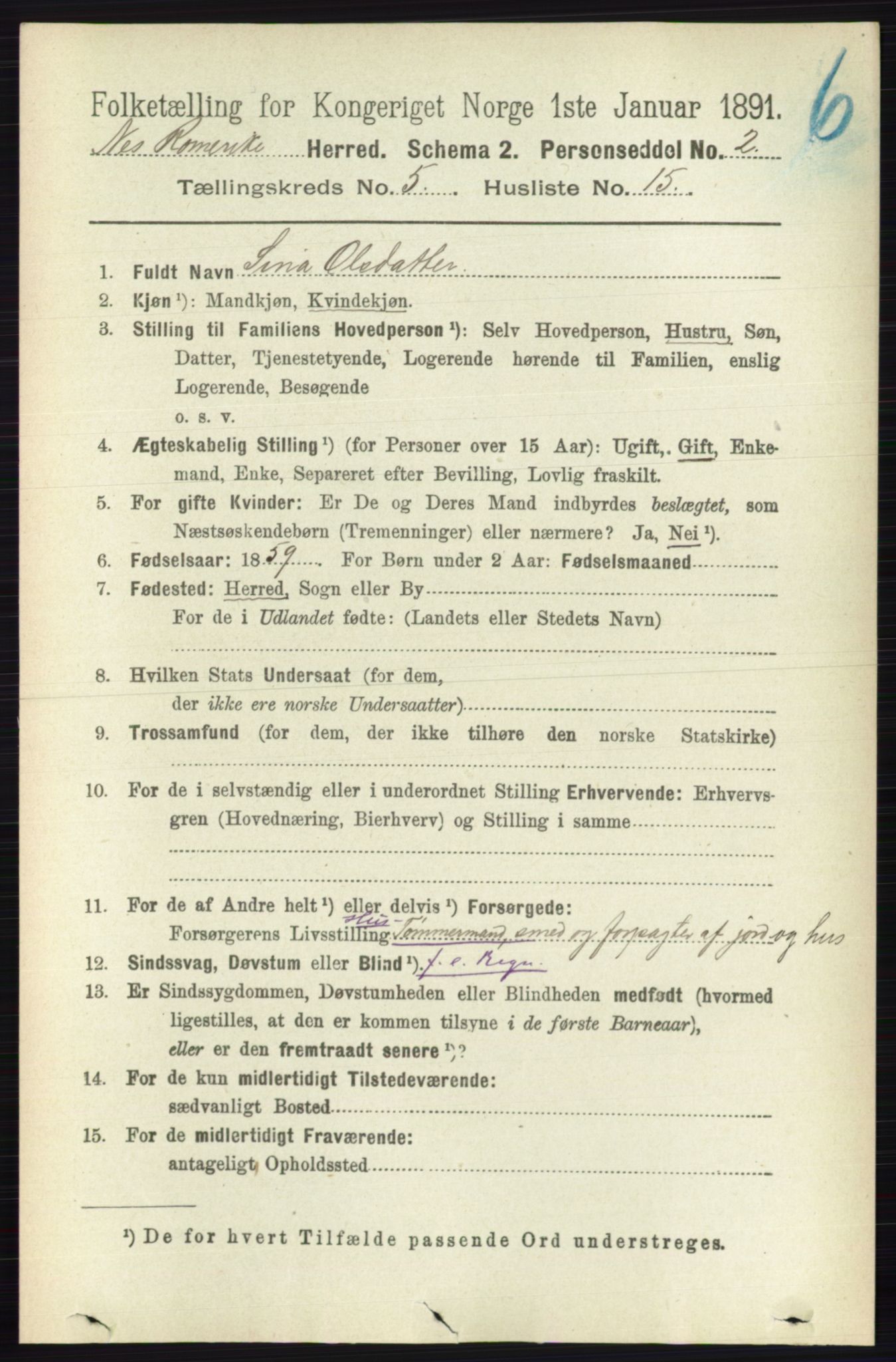 RA, 1891 census for 0236 Nes, 1891, p. 2872