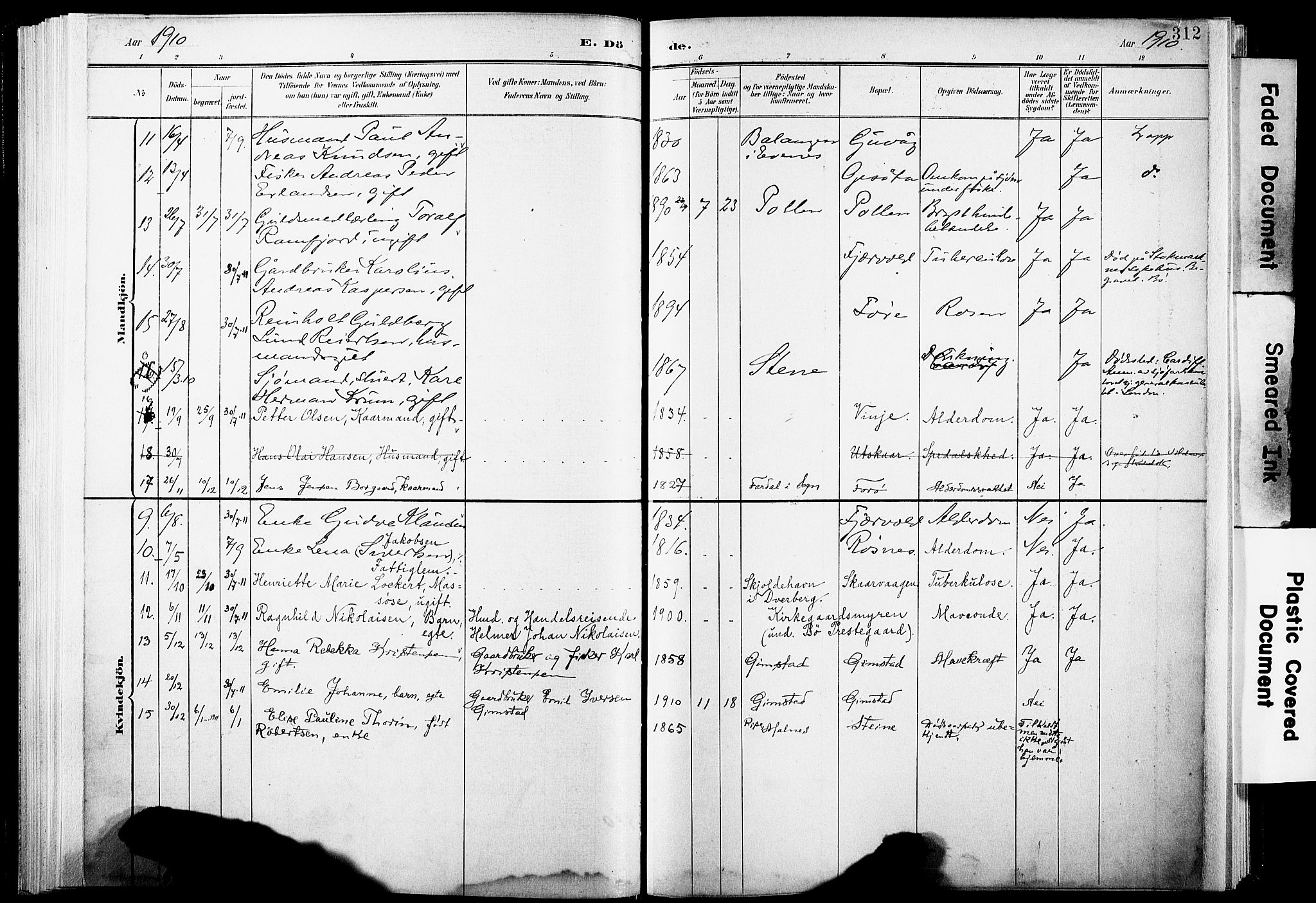 Ministerialprotokoller, klokkerbøker og fødselsregistre - Nordland, AV/SAT-A-1459/891/L1305: Parish register (official) no. 891A10, 1895-1921, p. 312