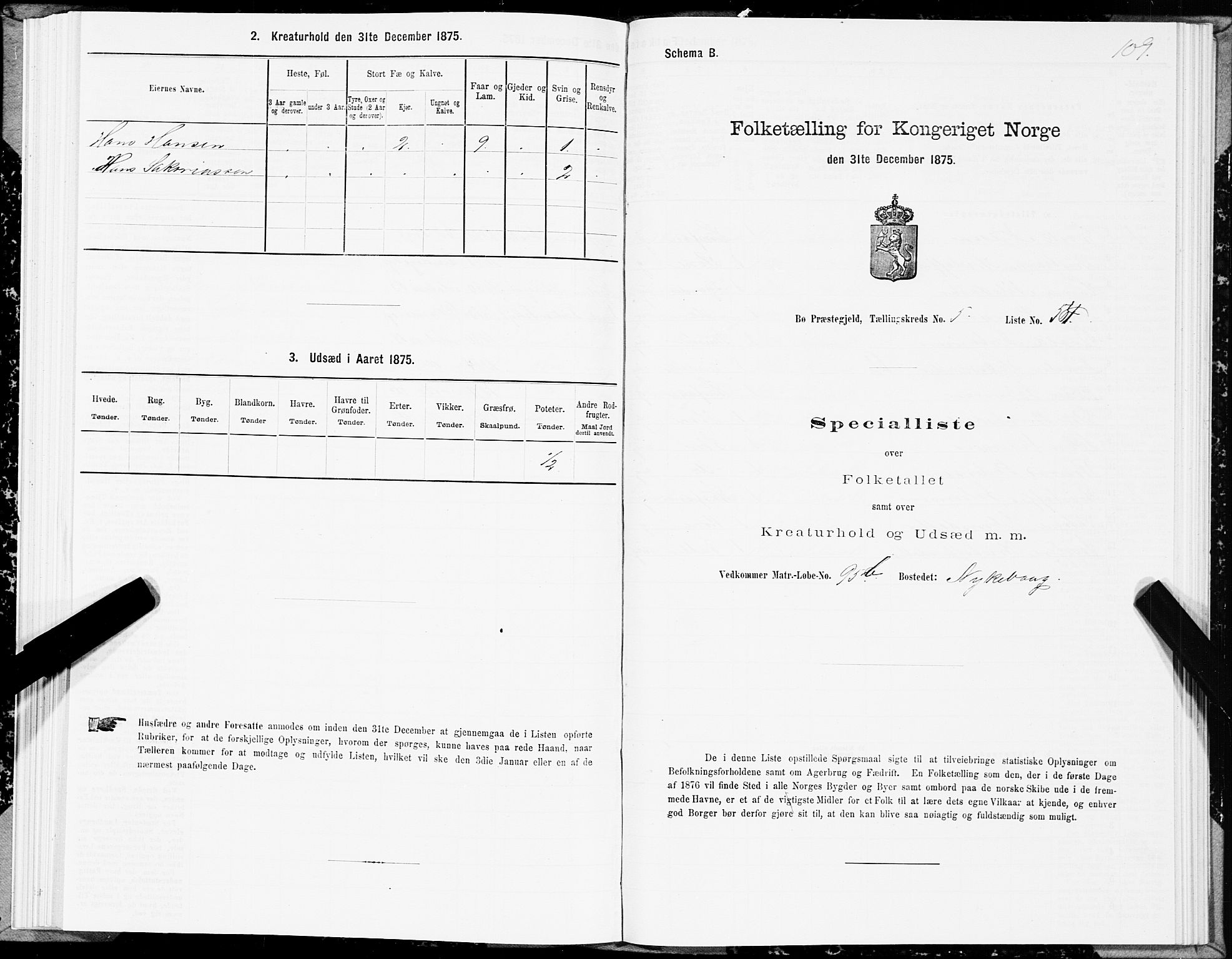 SAT, 1875 census for 1867P Bø, 1875, p. 3109
