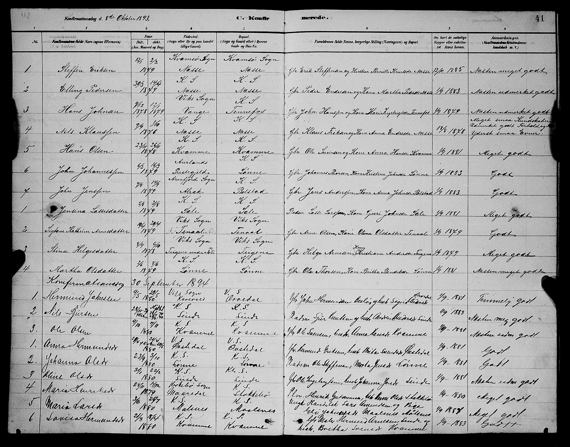 Balestrand sokneprestembete, AV/SAB-A-79601/H/Hab/Habc/L0002: Parish register (copy) no. C 2, 1878-1895, p. 41