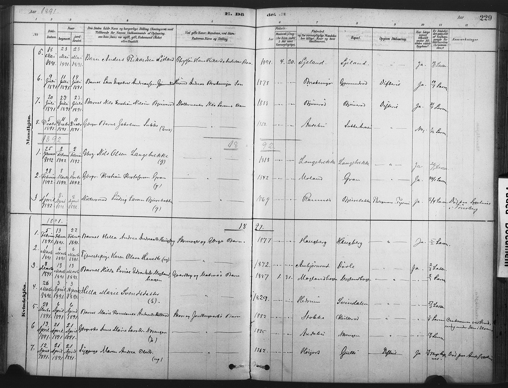 Andebu kirkebøker, AV/SAKO-A-336/F/Fa/L0007: Parish register (official) no. 7, 1878-1899, p. 229