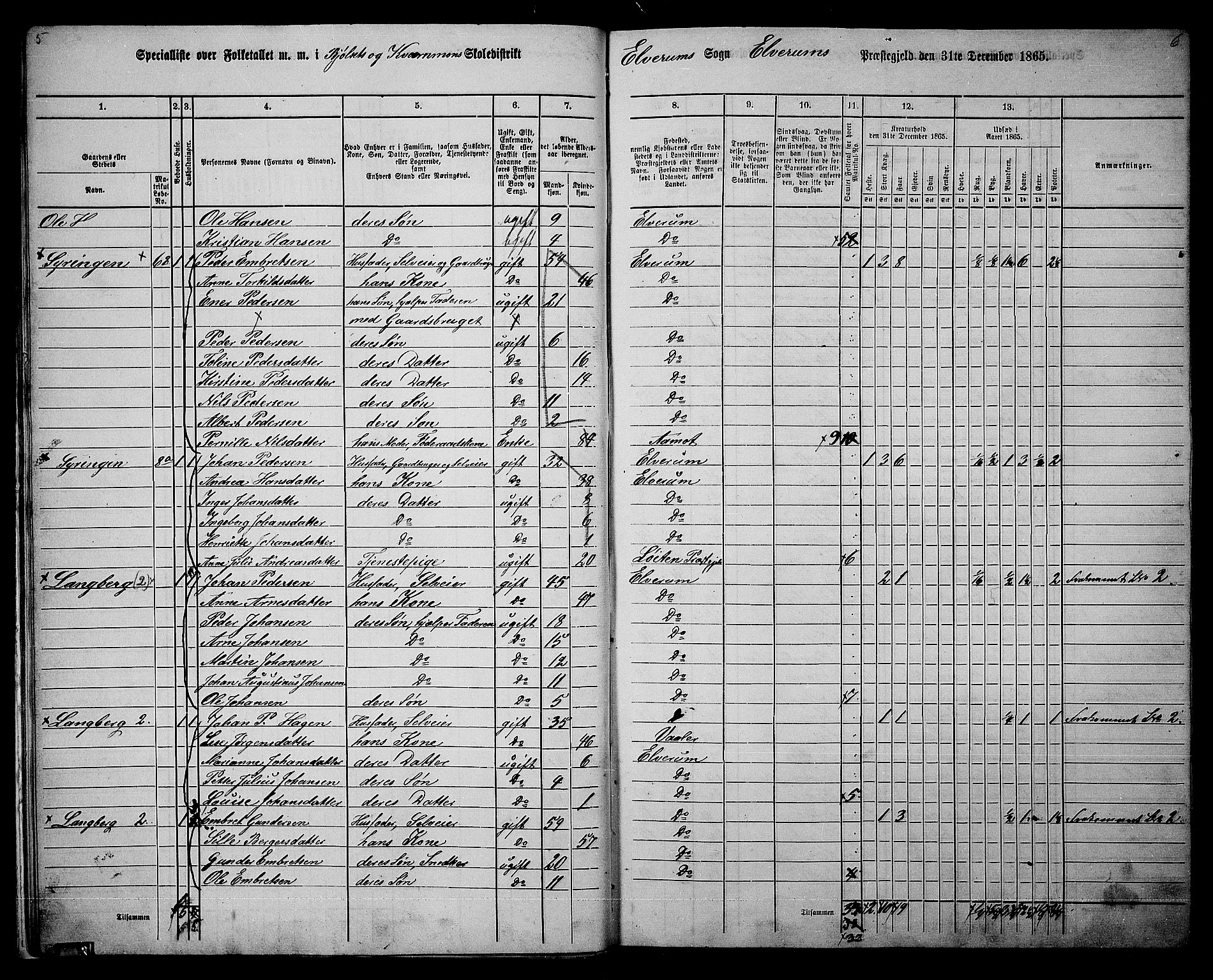 RA, 1865 census for Elverum, 1865, p. 14