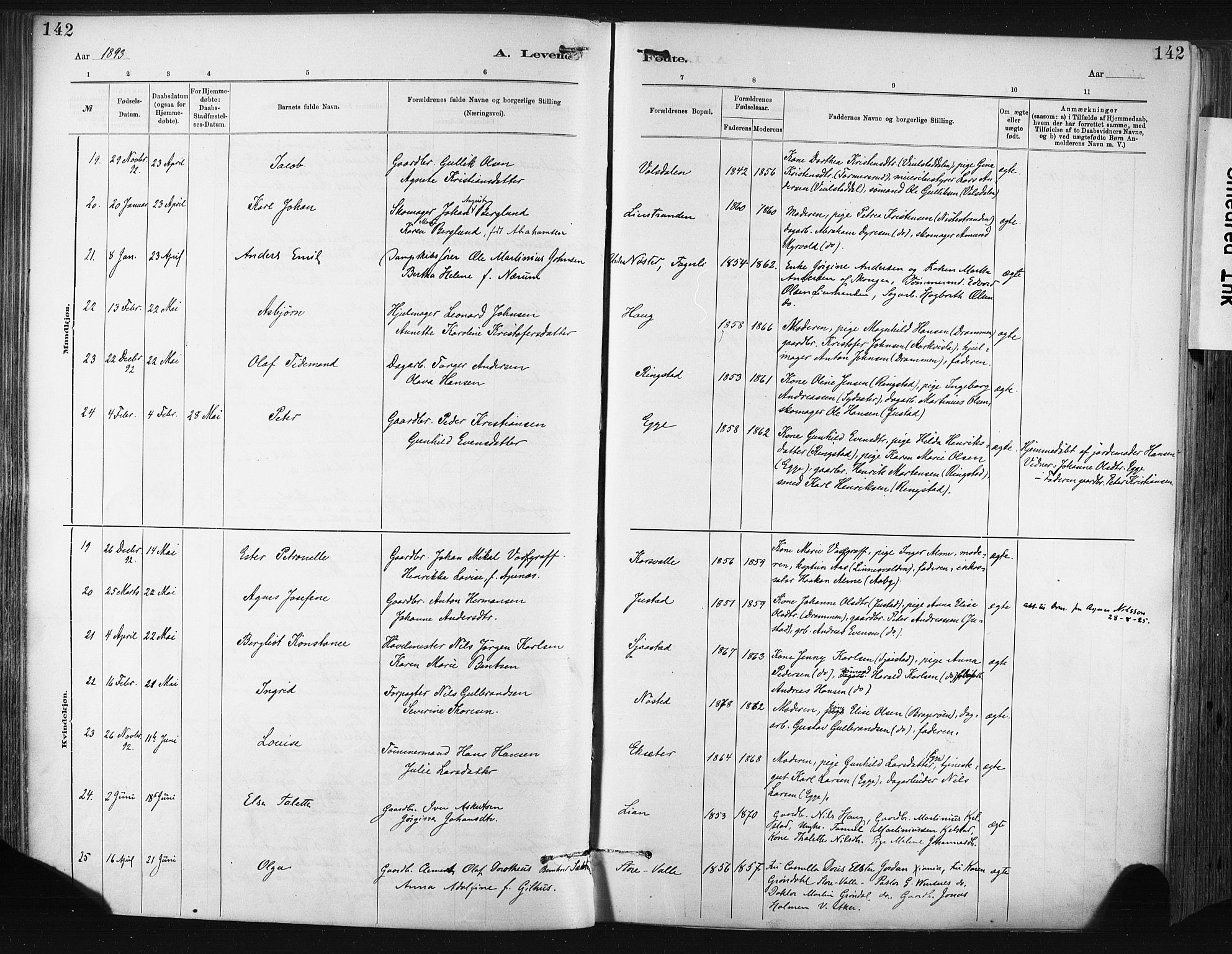Lier kirkebøker, AV/SAKO-A-230/F/Fa/L0015: Parish register (official) no. I 15, 1883-1894, p. 142