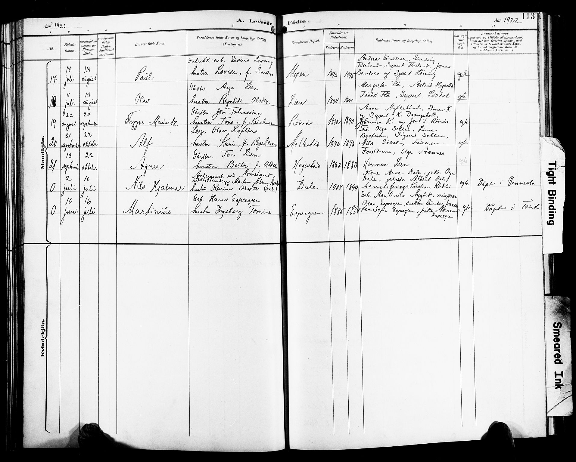 Birkenes sokneprestkontor, SAK/1111-0004/F/Fb/L0004: Parish register (copy) no. B 4, 1893-1930, p. 113
