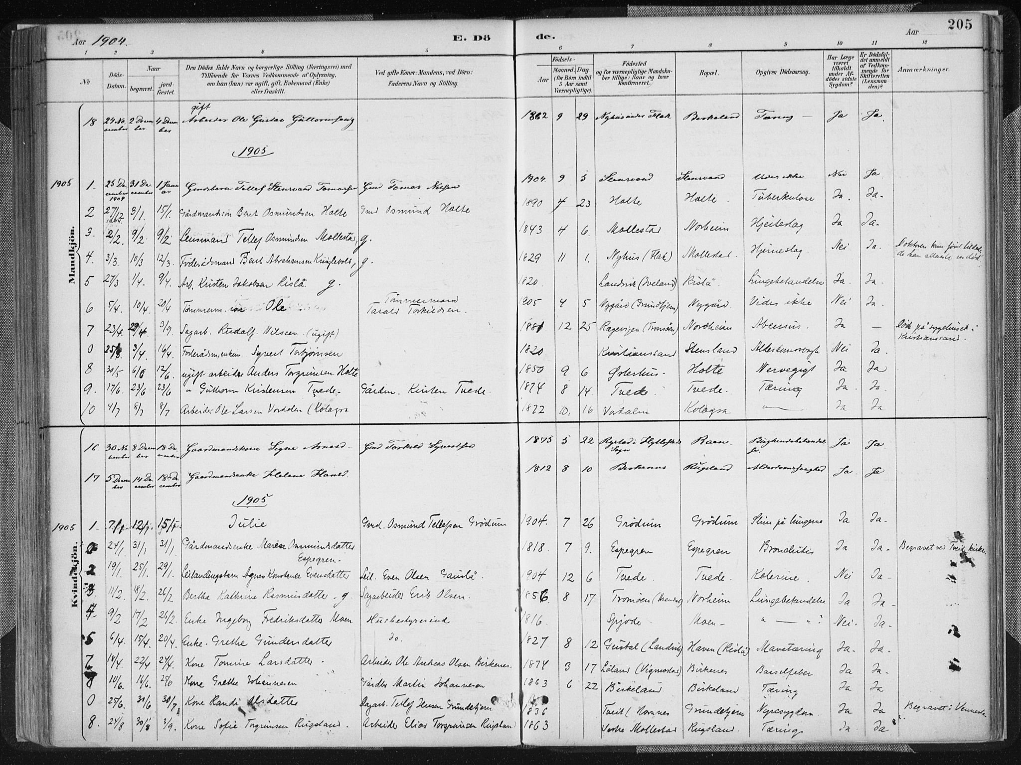 Birkenes sokneprestkontor, SAK/1111-0004/F/Fa/L0005: Parish register (official) no. A 5, 1887-1907, p. 205