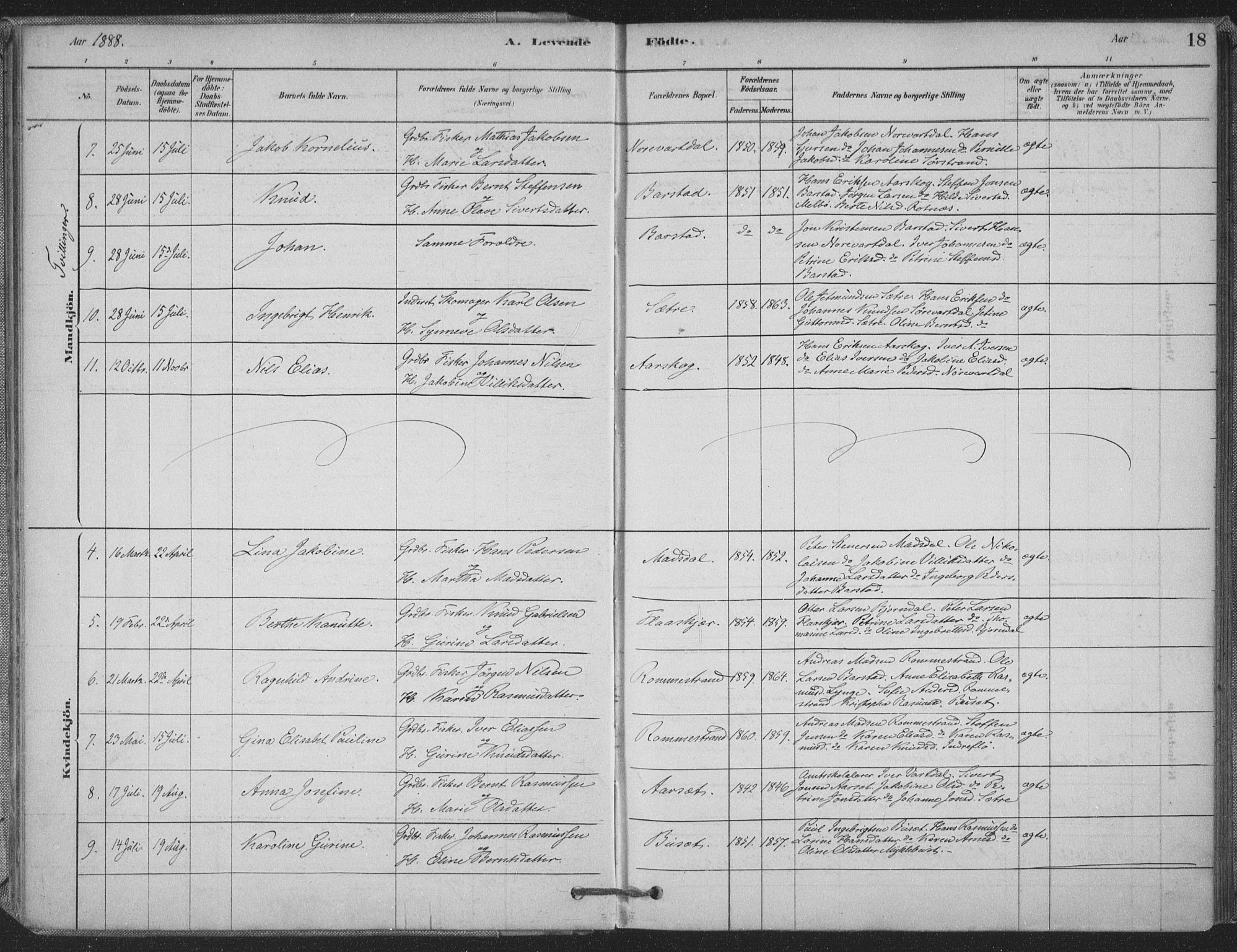 Ministerialprotokoller, klokkerbøker og fødselsregistre - Møre og Romsdal, AV/SAT-A-1454/514/L0199: Parish register (official) no. 514A01, 1878-1912, p. 18