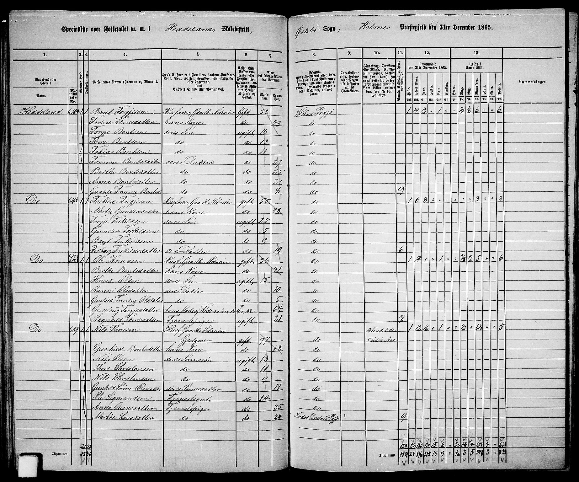 RA, 1865 census for Holum, 1865, p. 93