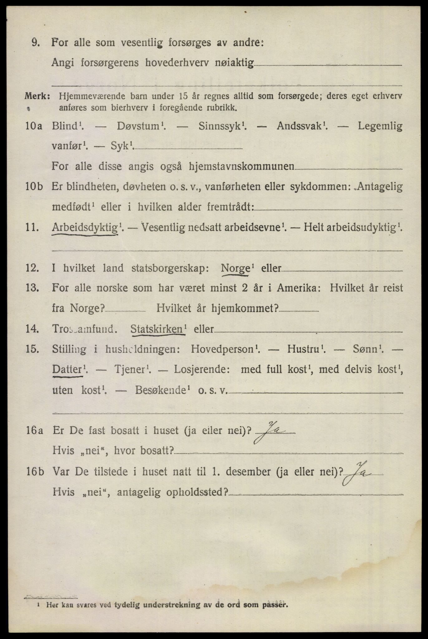 SAKO, 1920 census for Våle, 1920, p. 1963