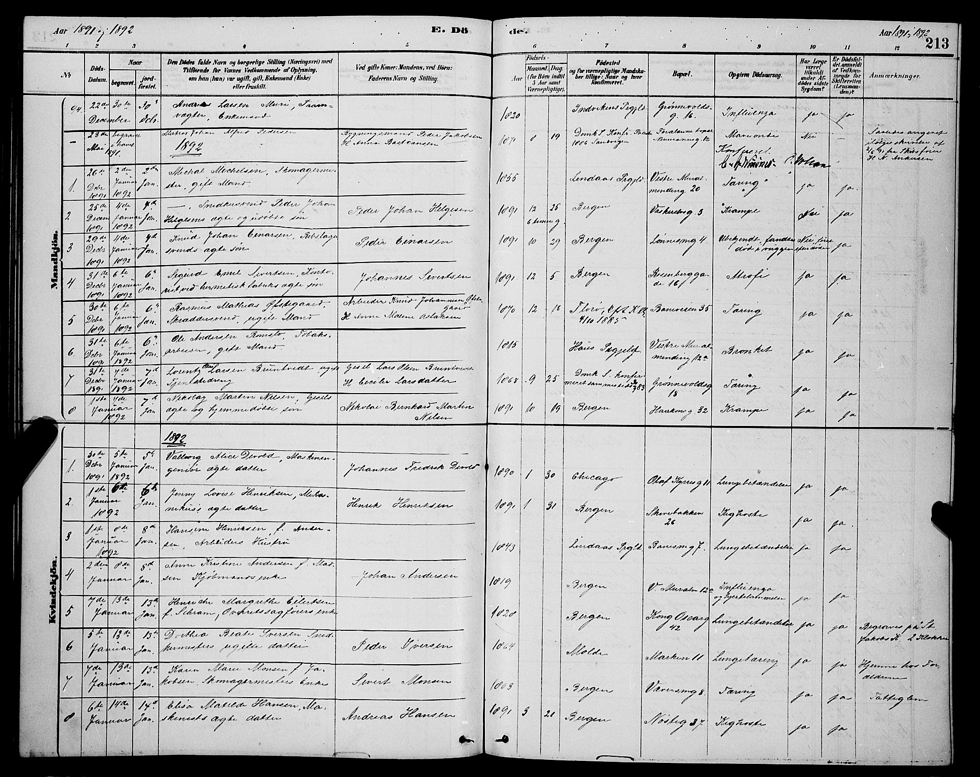Domkirken sokneprestembete, SAB/A-74801/H/Hab/L0041: Parish register (copy) no. E 5, 1878-1900, p. 213