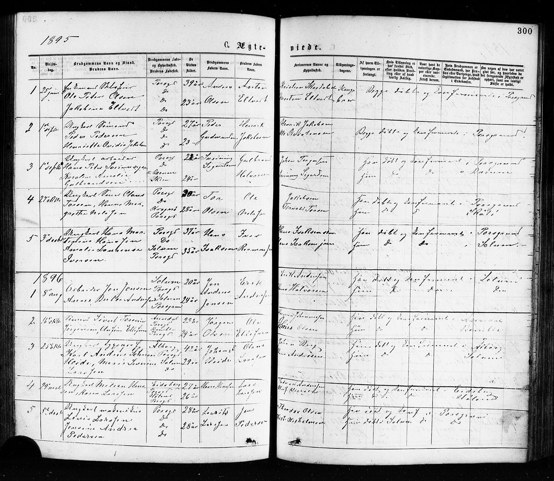 Porsgrunn kirkebøker , AV/SAKO-A-104/G/Ga/L0003: Parish register (copy) no. I 3, 1877-1915, p. 300