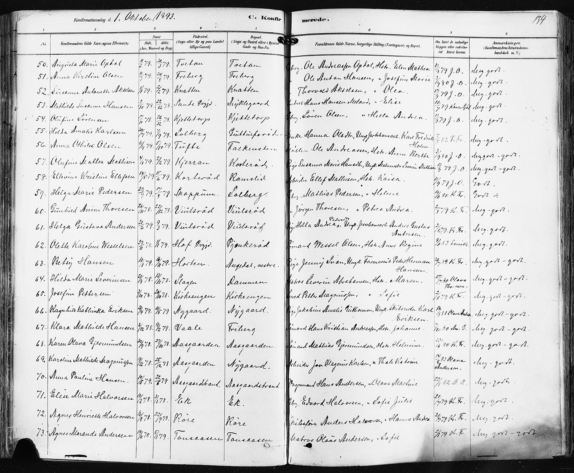 Borre kirkebøker, SAKO/A-338/F/Fa/L0009: Parish register (official) no. I 9, 1878-1896, p. 134