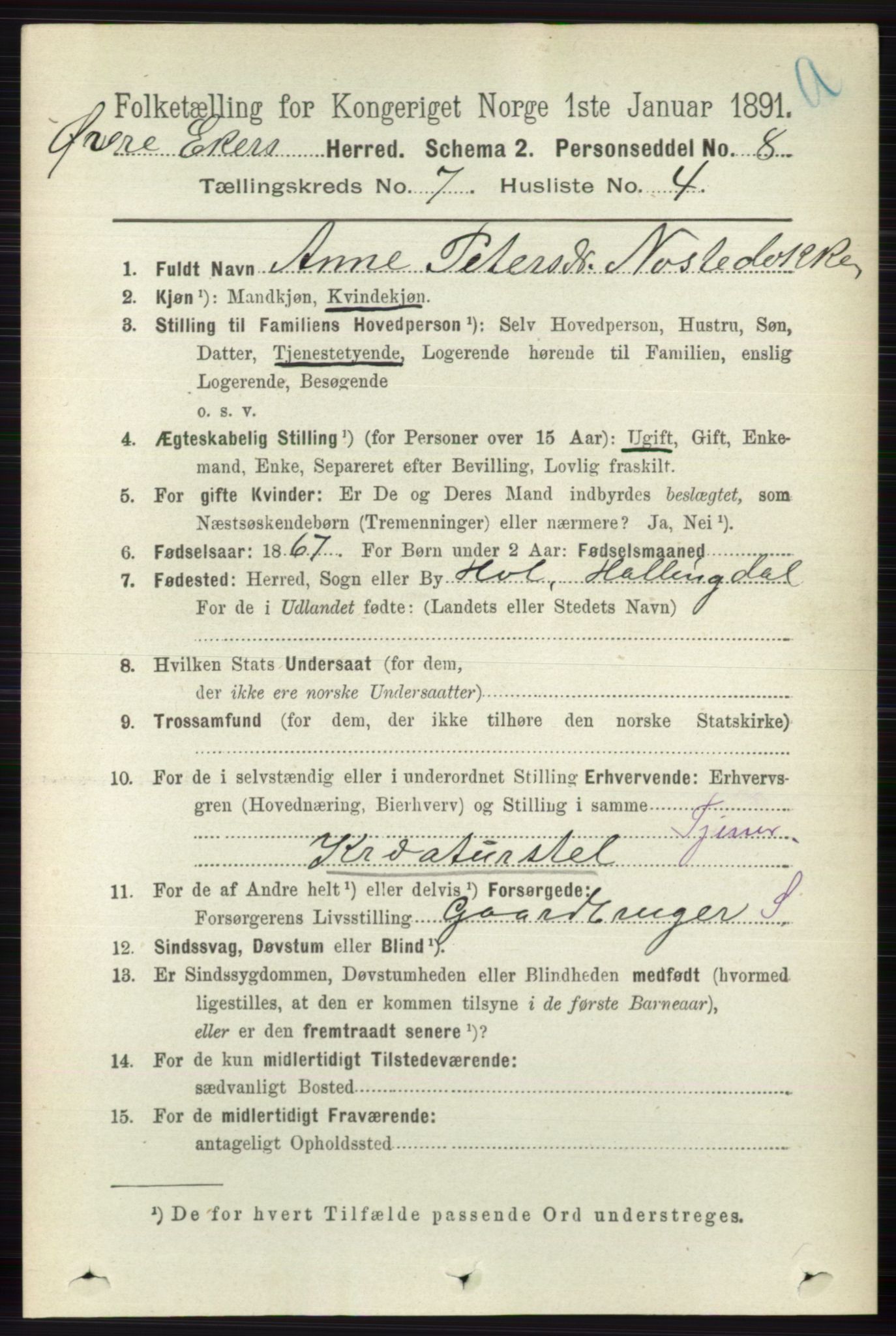 RA, 1891 census for 0624 Øvre Eiker, 1891, p. 2690