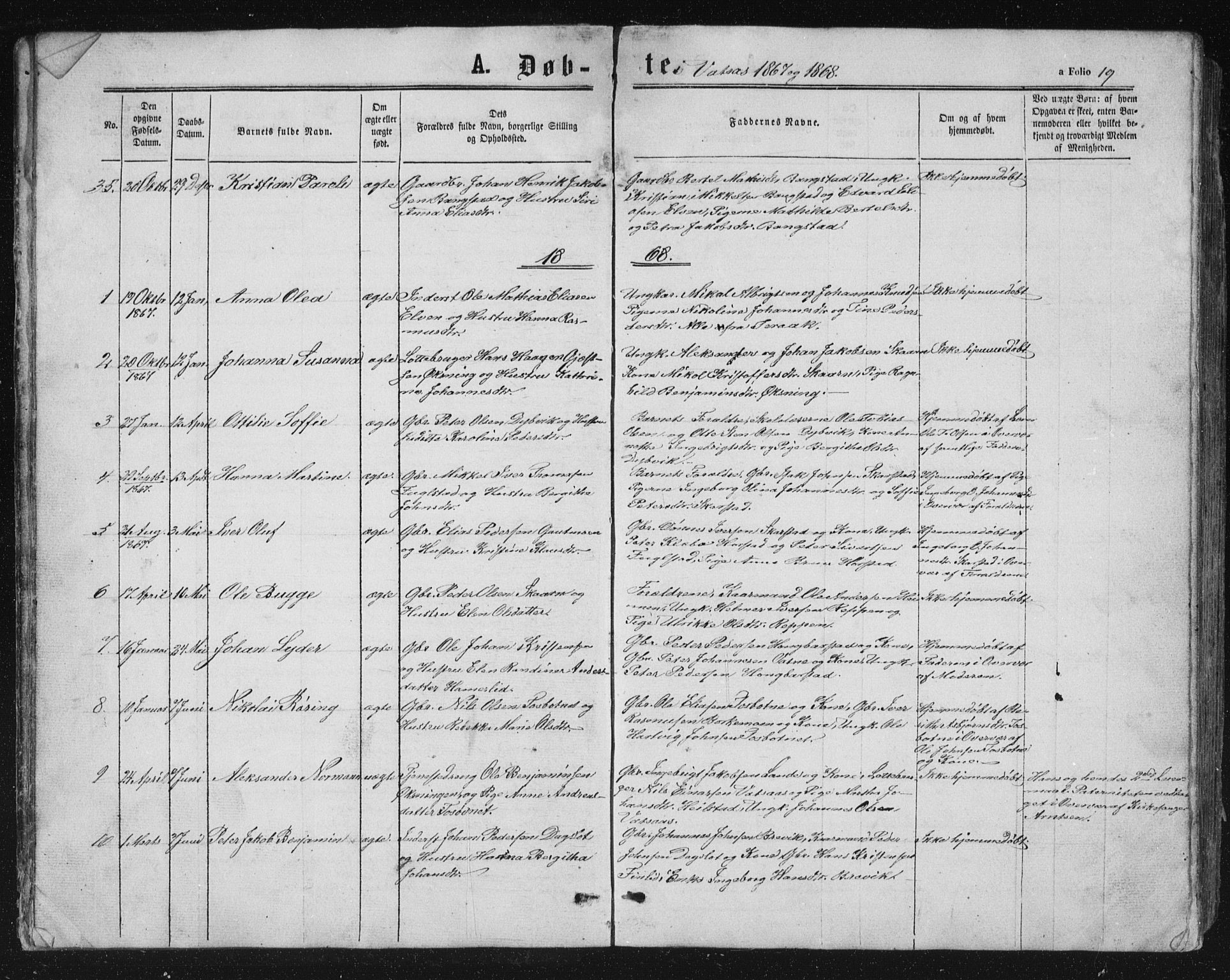 Ministerialprotokoller, klokkerbøker og fødselsregistre - Nordland, AV/SAT-A-1459/810/L0158: Parish register (copy) no. 810C02 /1, 1863-1883, p. 19