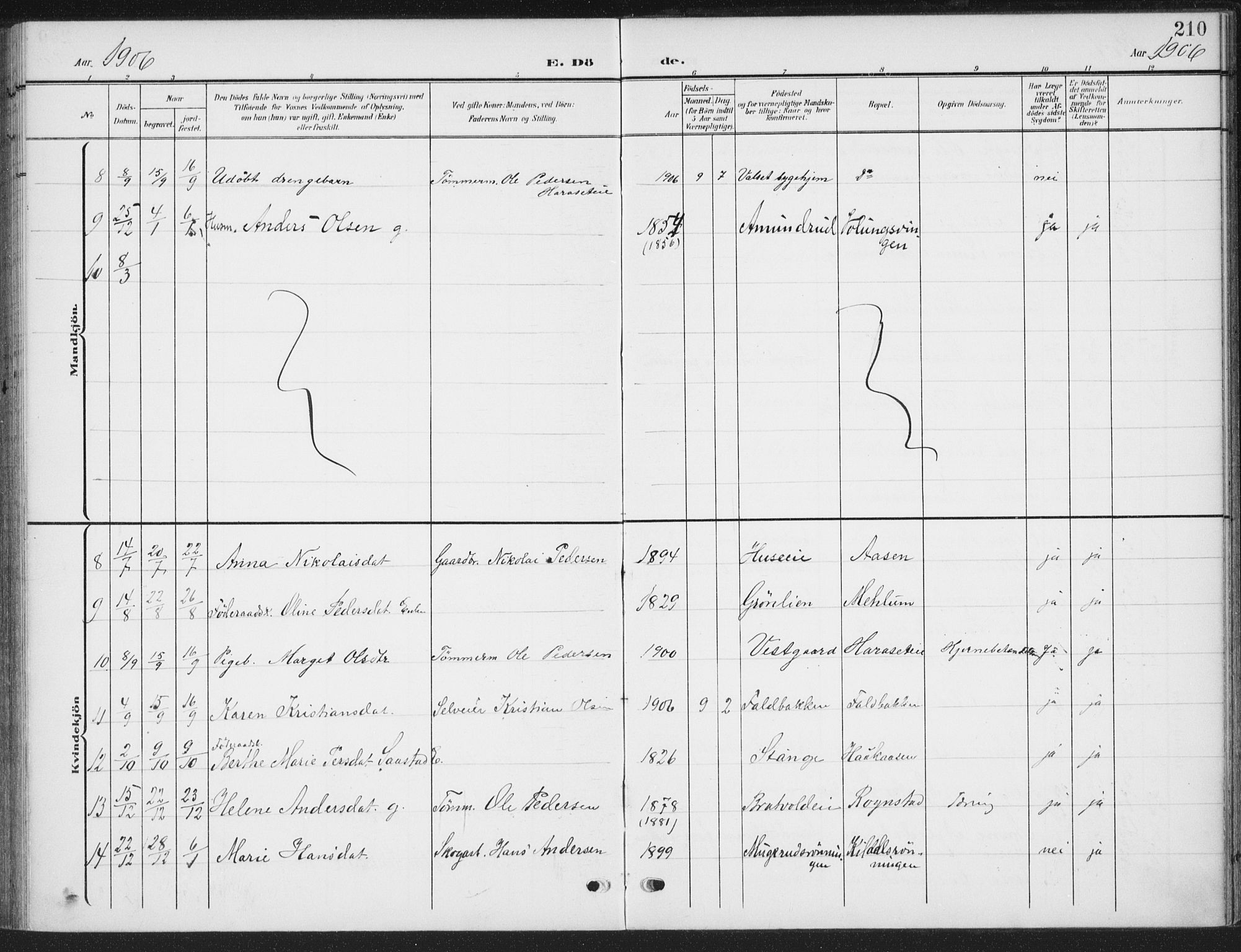 Romedal prestekontor, SAH/PREST-004/K/L0009: Parish register (official) no. 9, 1906-1929, p. 210