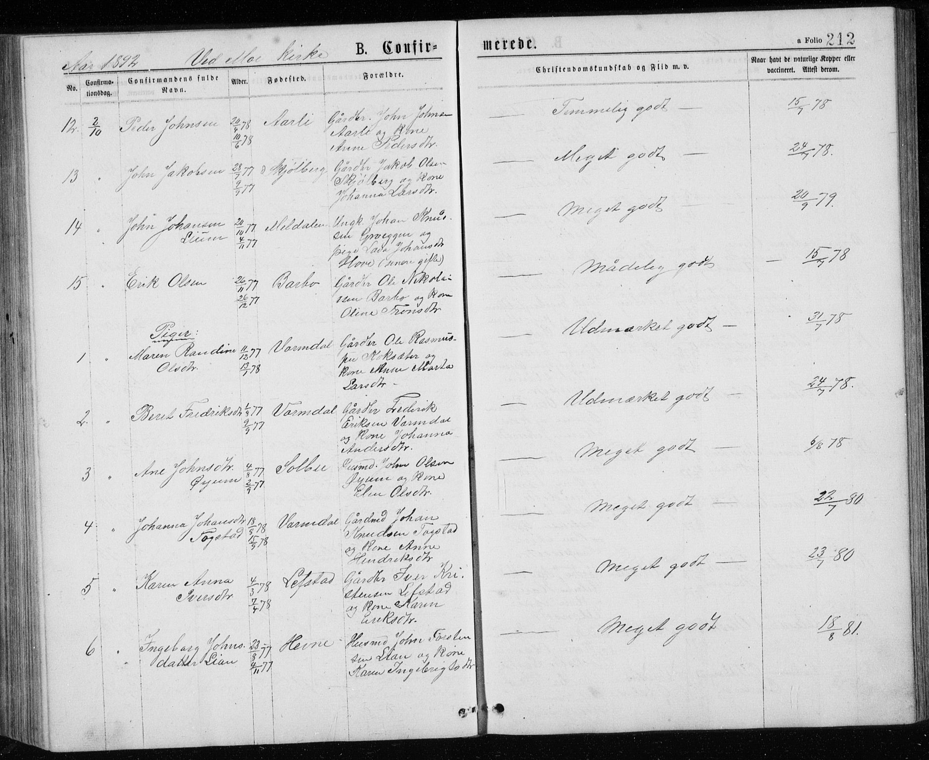 Ministerialprotokoller, klokkerbøker og fødselsregistre - Sør-Trøndelag, SAT/A-1456/671/L0843: Parish register (copy) no. 671C02, 1873-1892, p. 212
