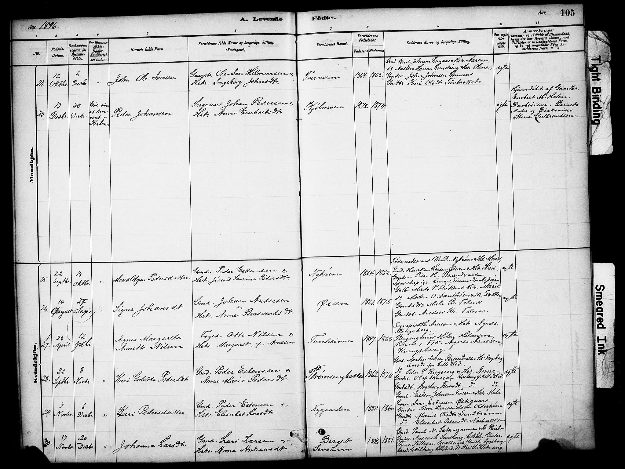 Tynset prestekontor, SAH/PREST-058/H/Ha/Hab/L0006: Parish register (copy) no. 6, 1880-1899, p. 105