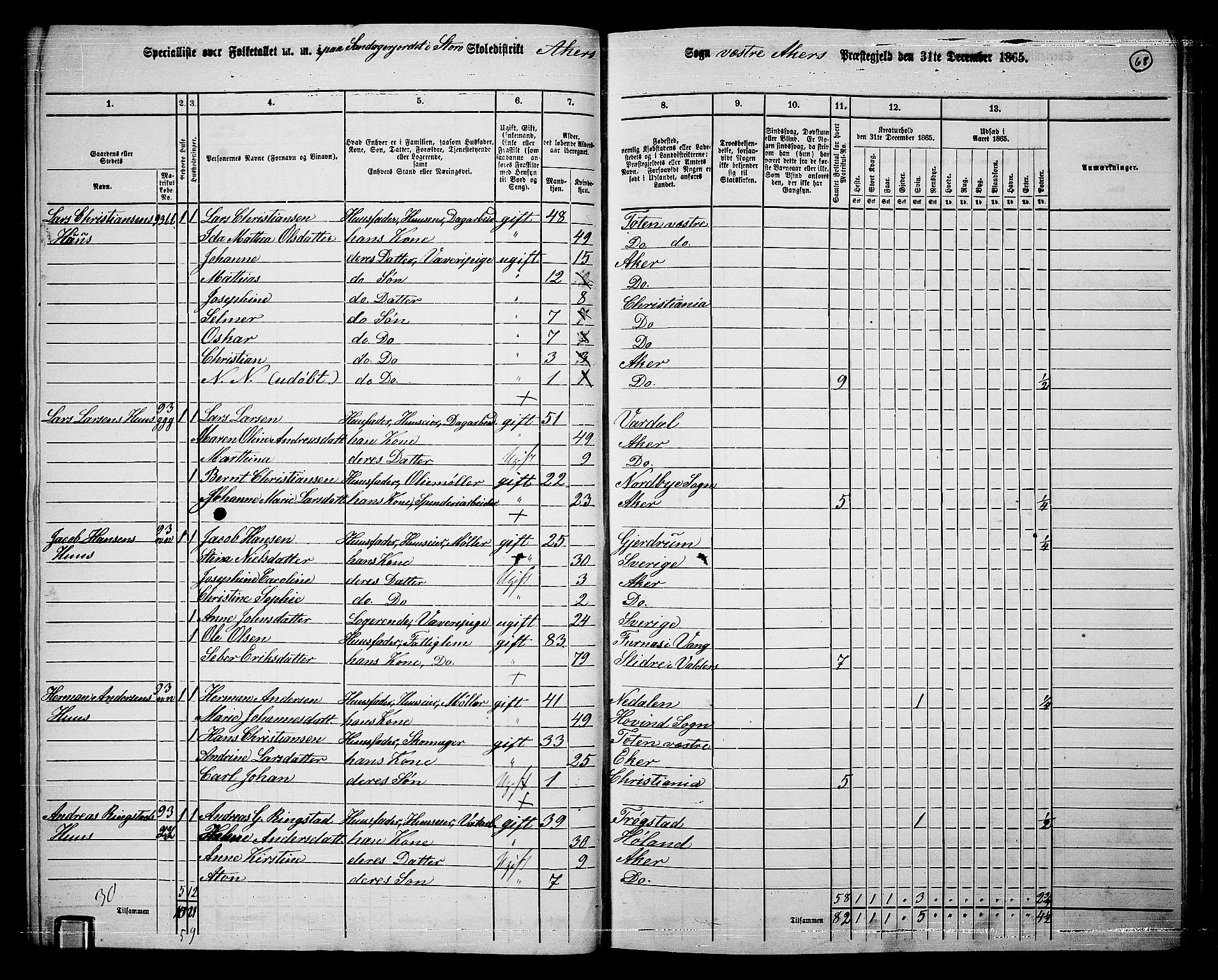 RA, 1865 census for Vestre Aker, 1865, p. 236