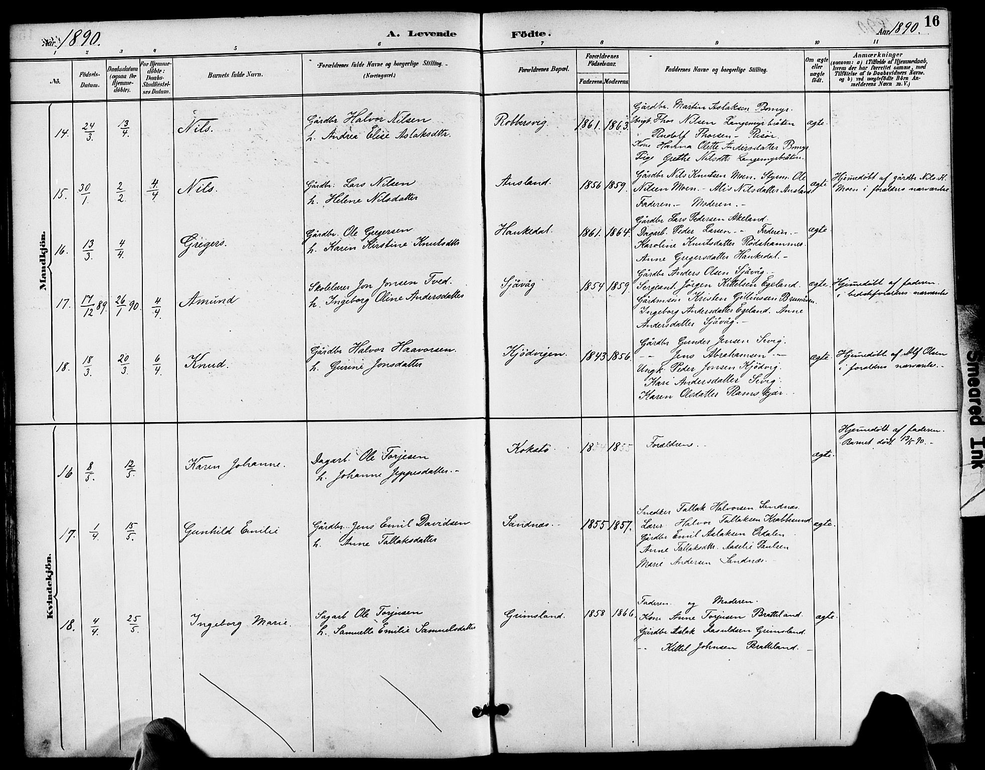 Søndeled sokneprestkontor, AV/SAK-1111-0038/F/Fa/L0005: Parish register (official) no. A 5, 1889-1899, p. 16