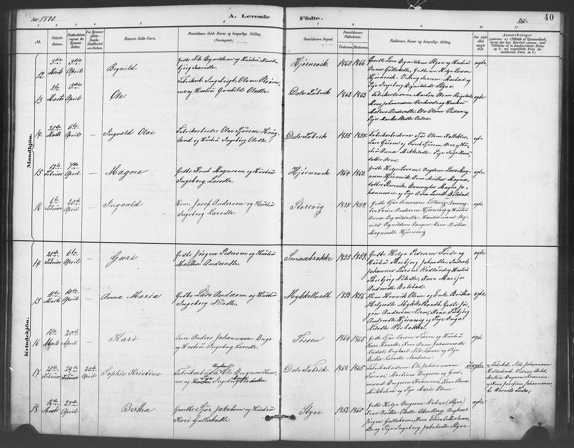 Evanger sokneprestembete, AV/SAB-A-99924: Parish register (copy) no. A 4, 1887-1897, p. 40