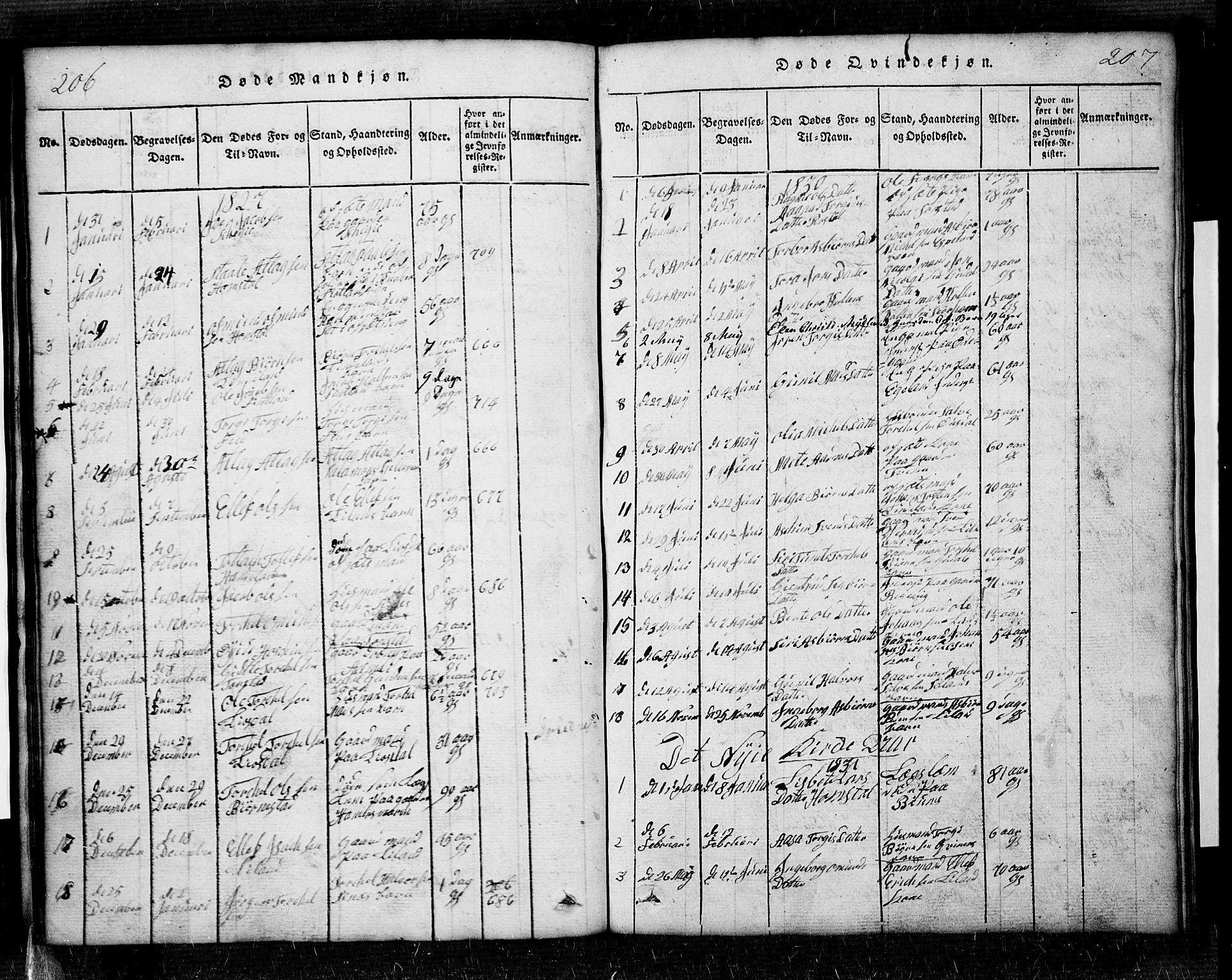 Sirdal sokneprestkontor, SAK/1111-0036/F/Fb/Fbb/L0001: Parish register (copy) no. B 1, 1815-1834, p. 206-207