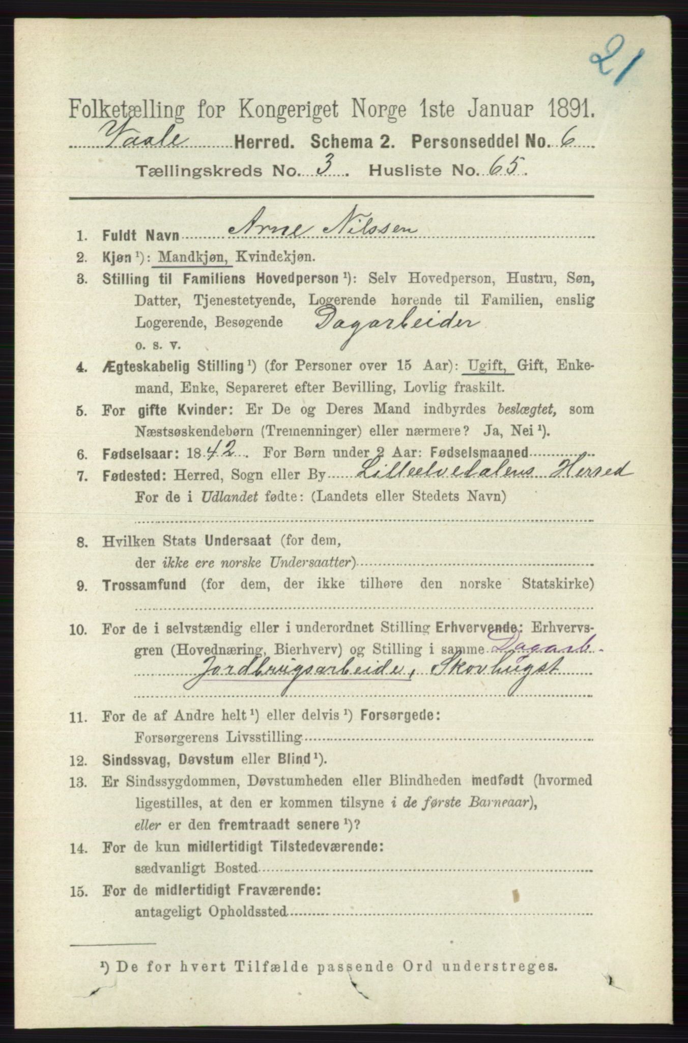 RA, 1891 census for 0716 Våle, 1891, p. 925