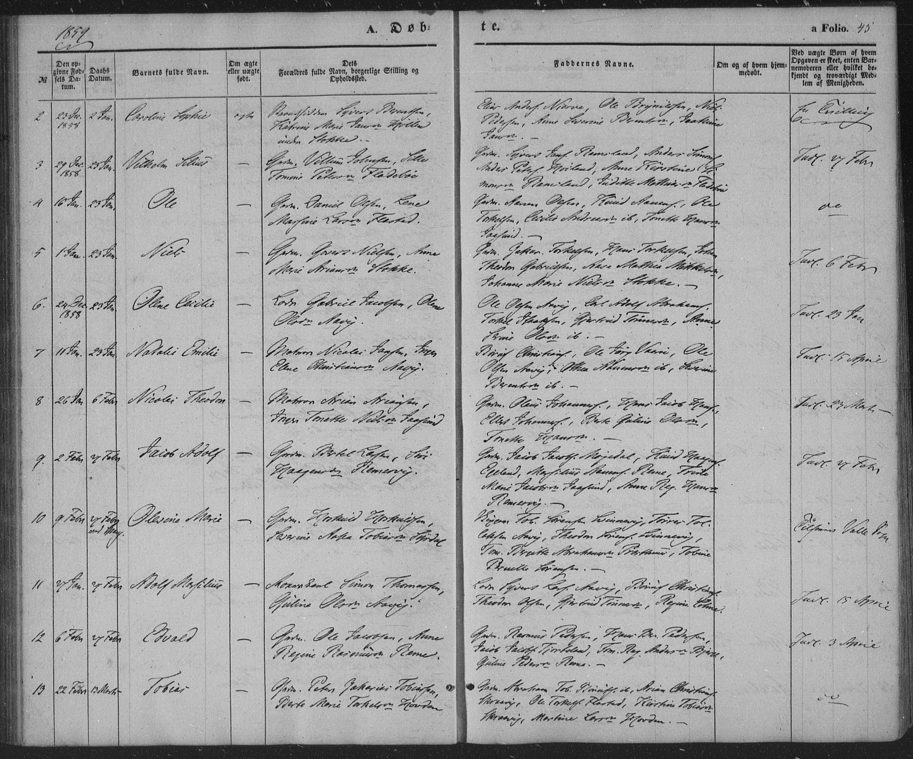 Sør-Audnedal sokneprestkontor, AV/SAK-1111-0039/F/Fa/Faa/L0002: Parish register (official) no. A 2, 1848-1867, p. 45