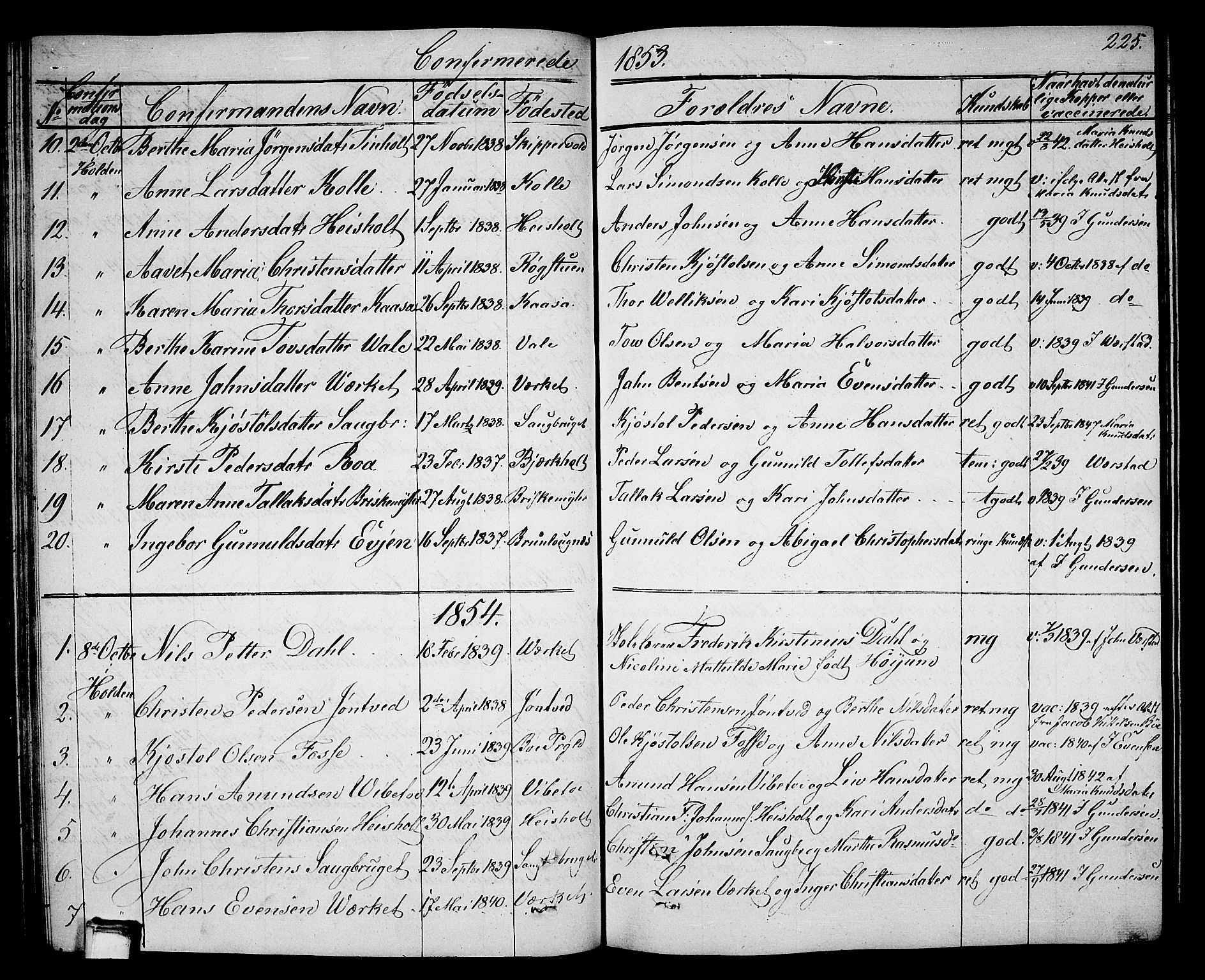 Holla kirkebøker, SAKO/A-272/G/Ga/L0003: Parish register (copy) no. I 3, 1849-1866, p. 225