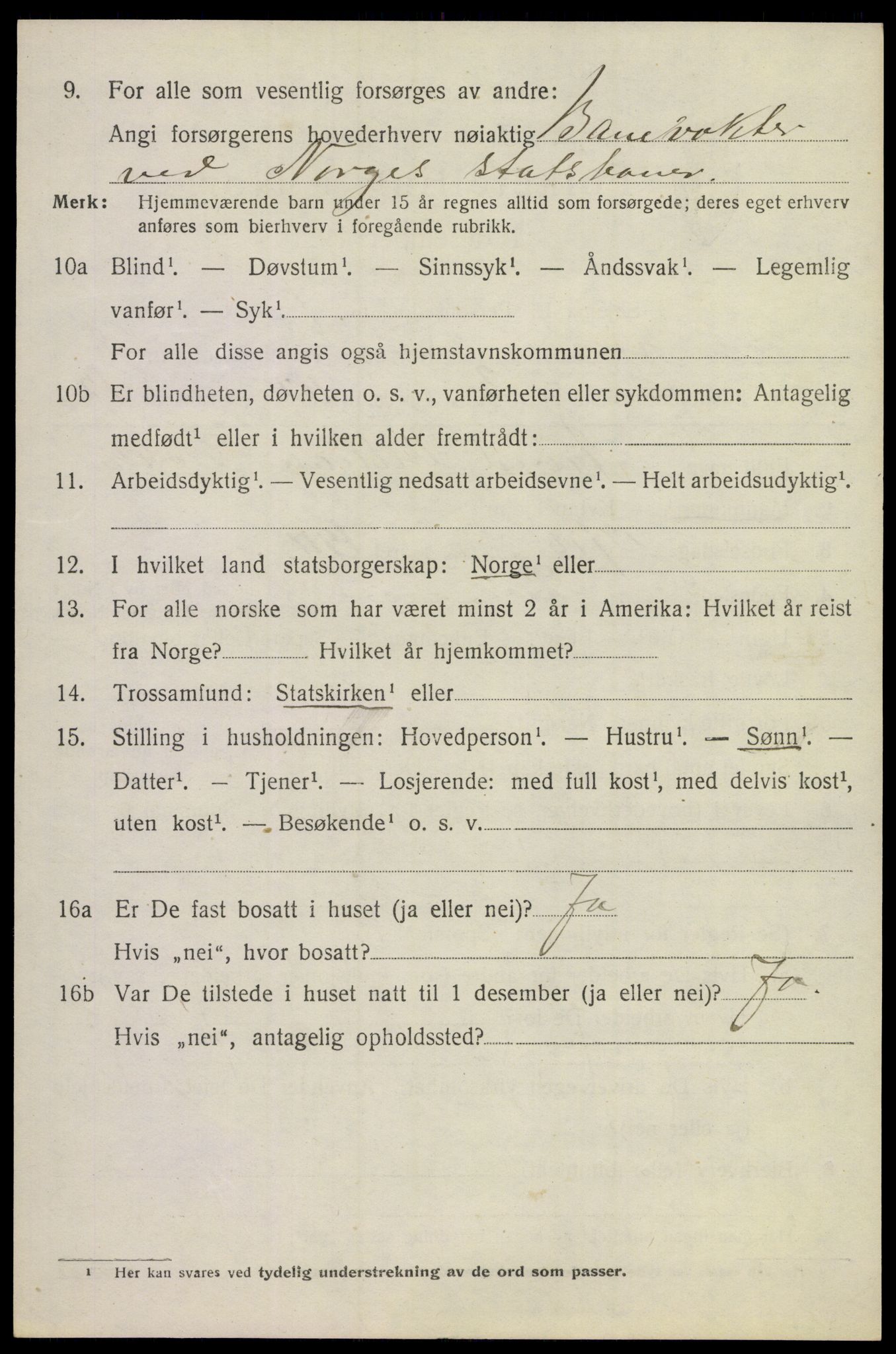 SAKO, 1920 census for Lier, 1920, p. 13737