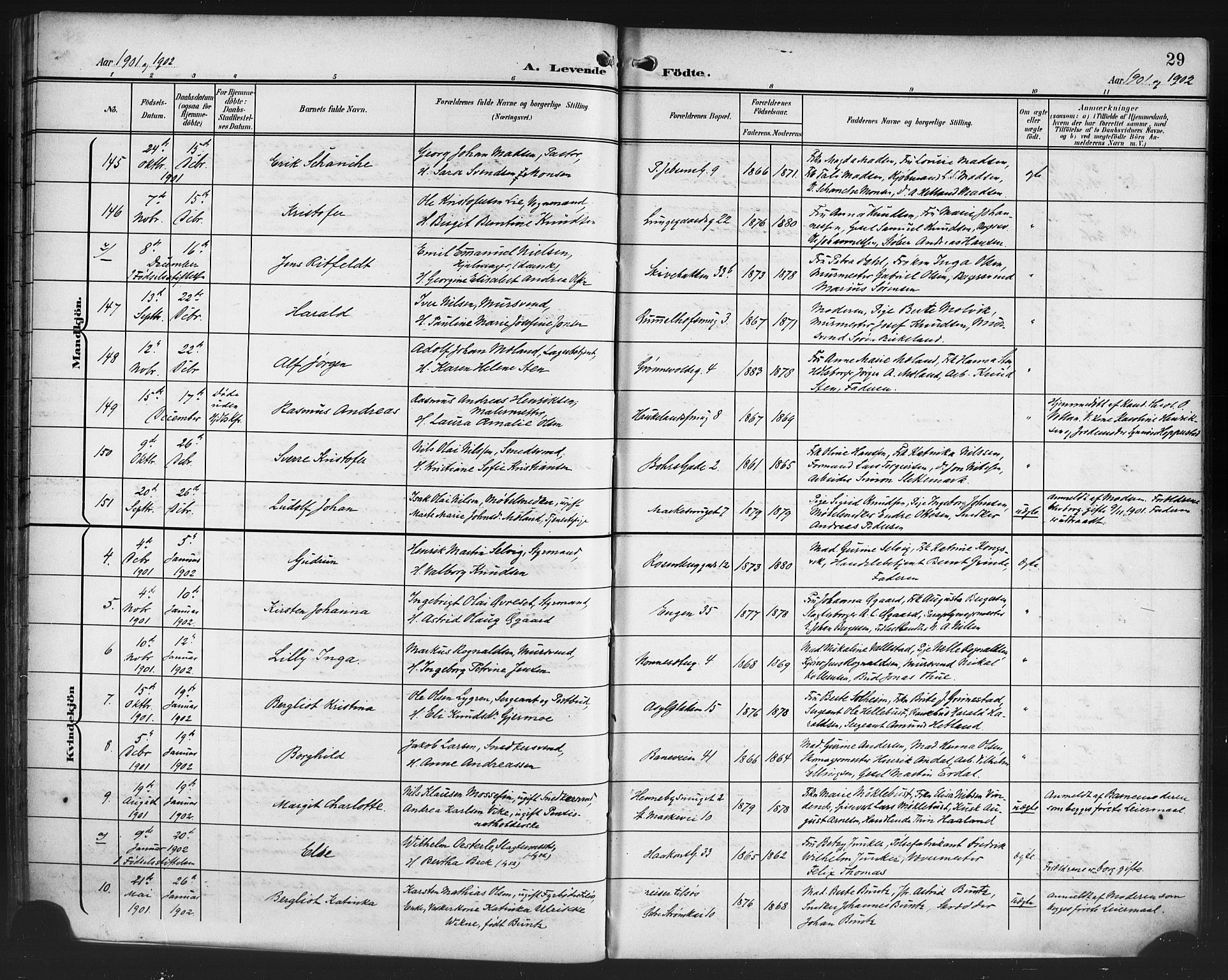 Domkirken sokneprestembete, AV/SAB-A-74801/H/Hab/L0017: Parish register (copy) no. B 10, 1900-1915, p. 29