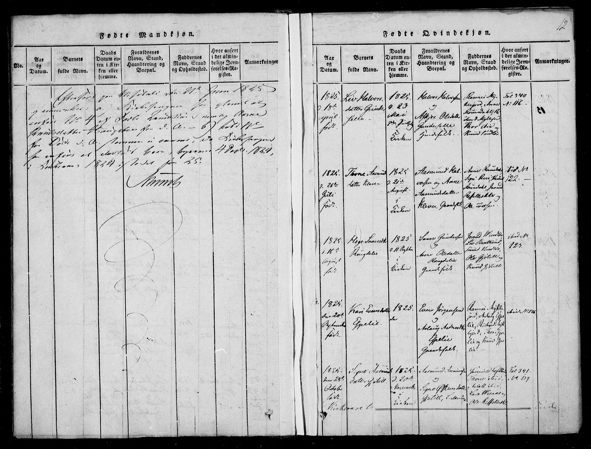Lårdal kirkebøker, SAKO/A-284/F/Fb/L0001: Parish register (official) no. II 1, 1815-1860, p. 12
