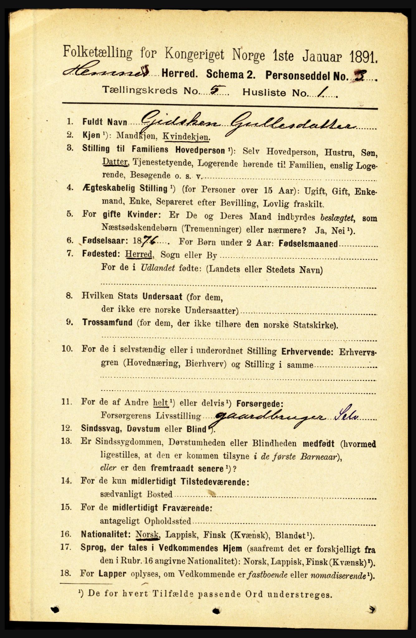 RA, 1891 census for 1832 Hemnes, 1891, p. 2556
