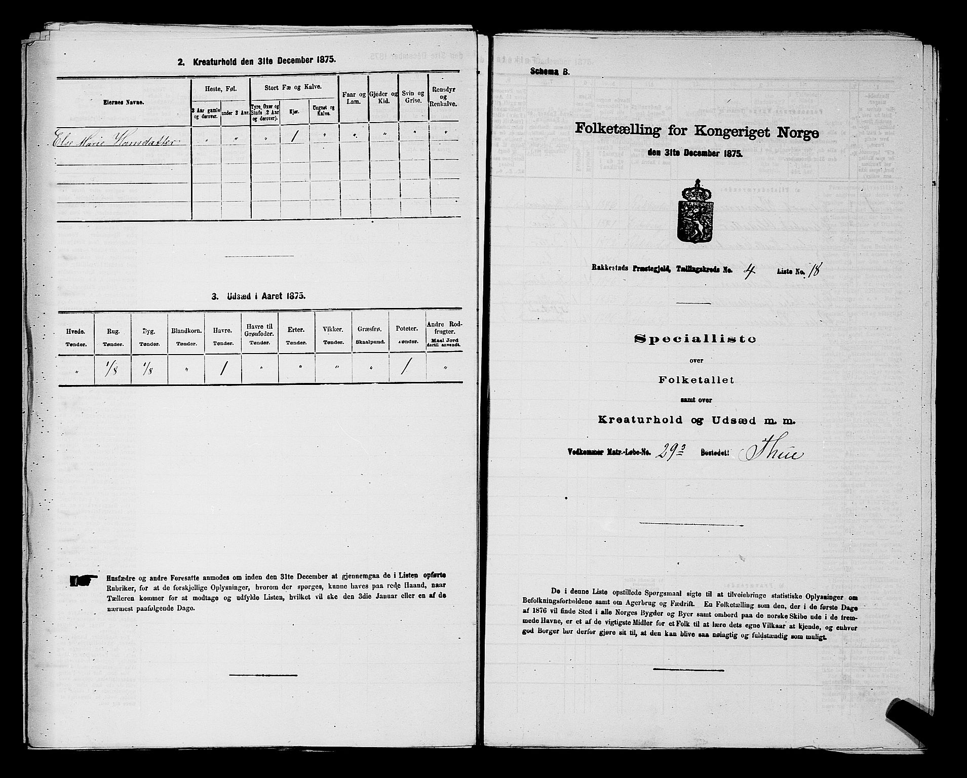 RA, 1875 census for 0128P Rakkestad, 1875, p. 590