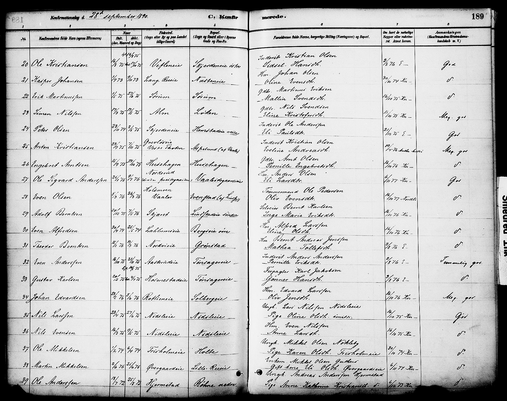 Stange prestekontor, AV/SAH-PREST-002/K/L0017: Parish register (official) no. 17, 1880-1893, p. 189