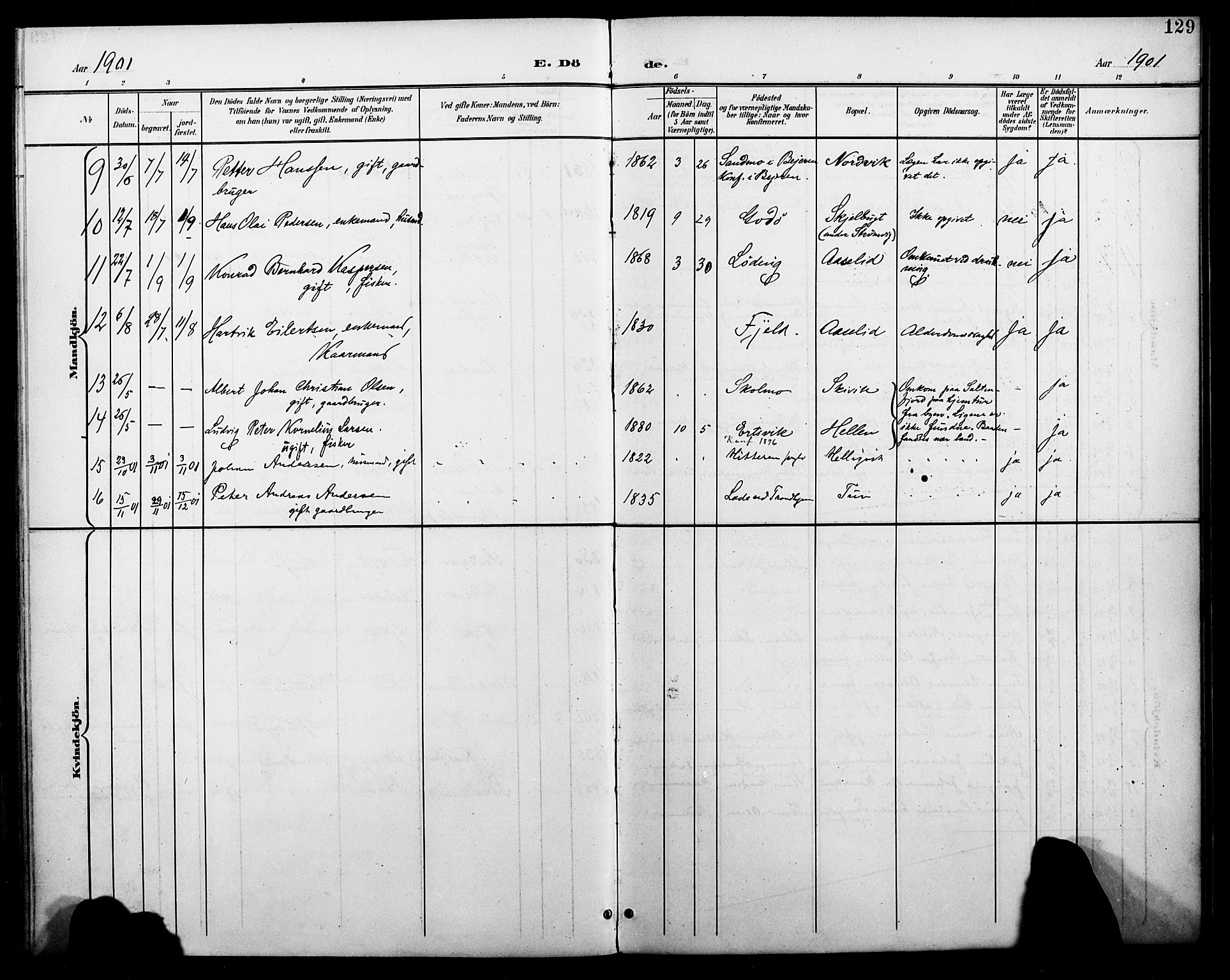 Ministerialprotokoller, klokkerbøker og fødselsregistre - Nordland, AV/SAT-A-1459/804/L0088: Parish register (copy) no. 804C01, 1901-1917, p. 129