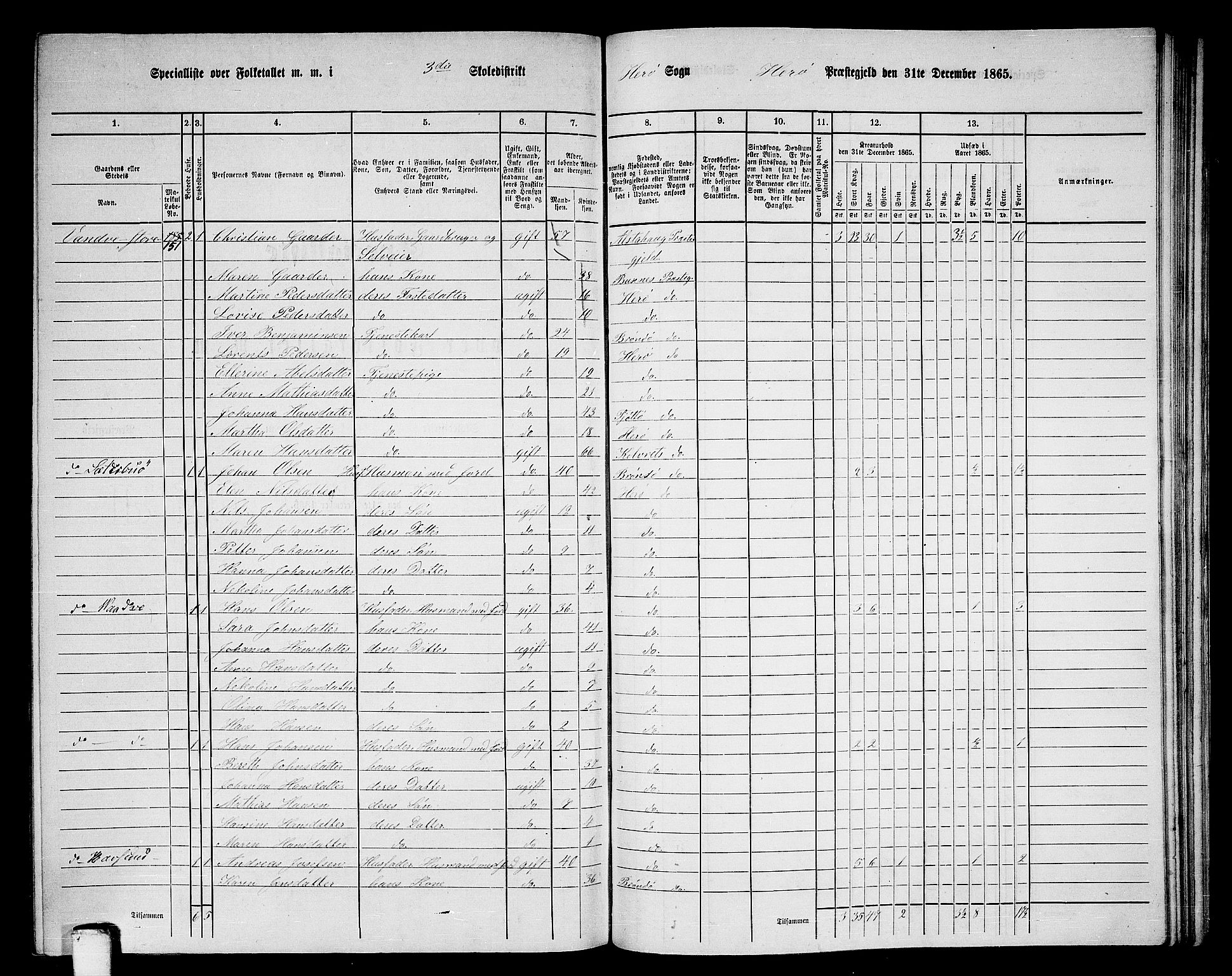 RA, 1865 census for Herøy, 1865, p. 50