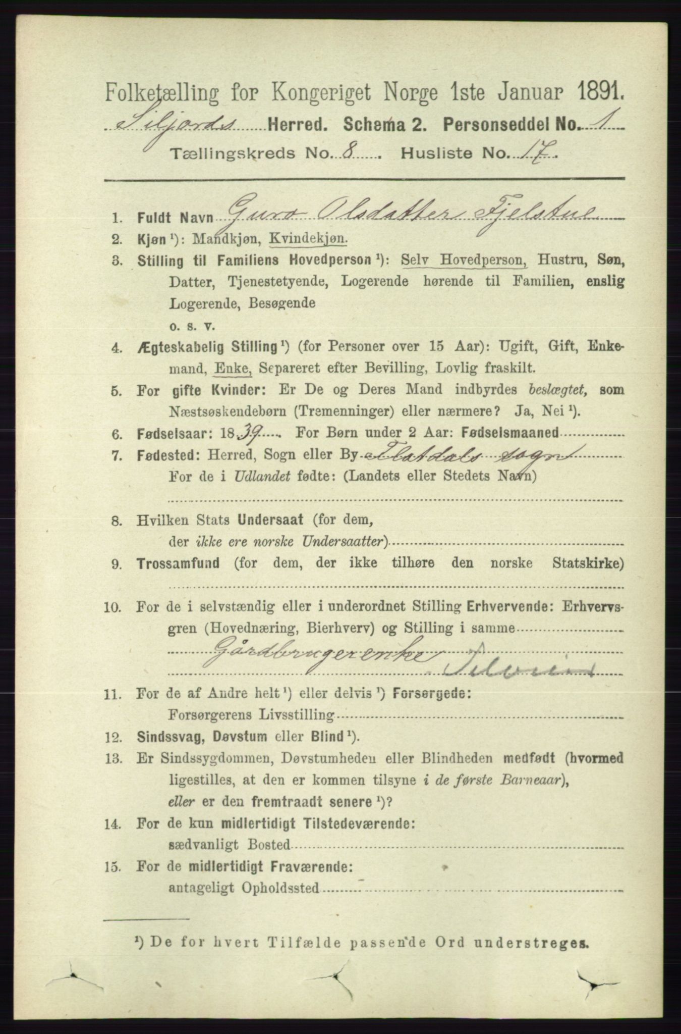 RA, 1891 census for 0828 Seljord, 1891, p. 2971