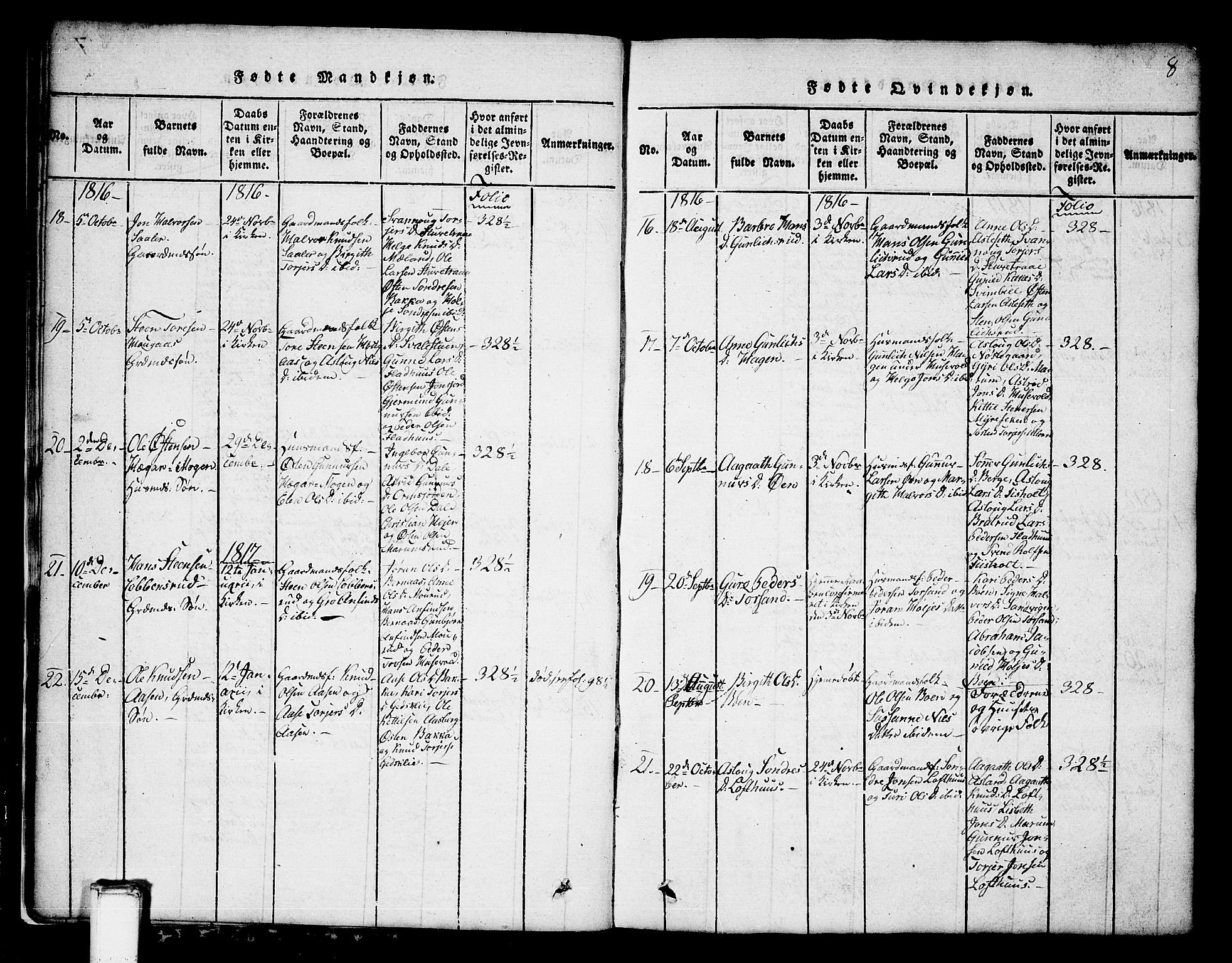 Tinn kirkebøker, SAKO/A-308/G/Ga/L0001: Parish register (copy) no. I 1, 1815-1850, p. 8