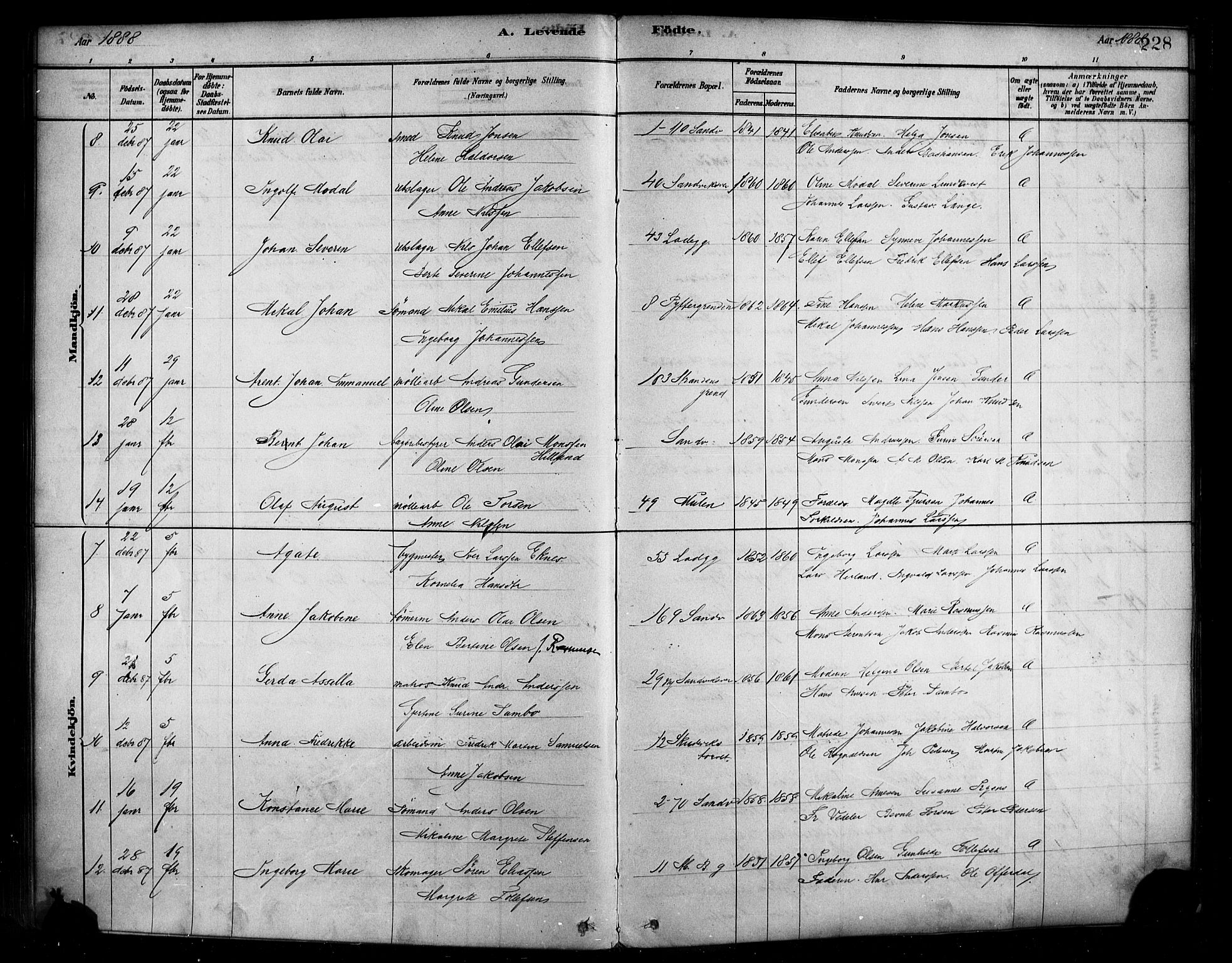 Sandviken Sokneprestembete, SAB/A-77601/H/Ha/L0004: Parish register (official) no. B 1, 1878-1891, p. 228