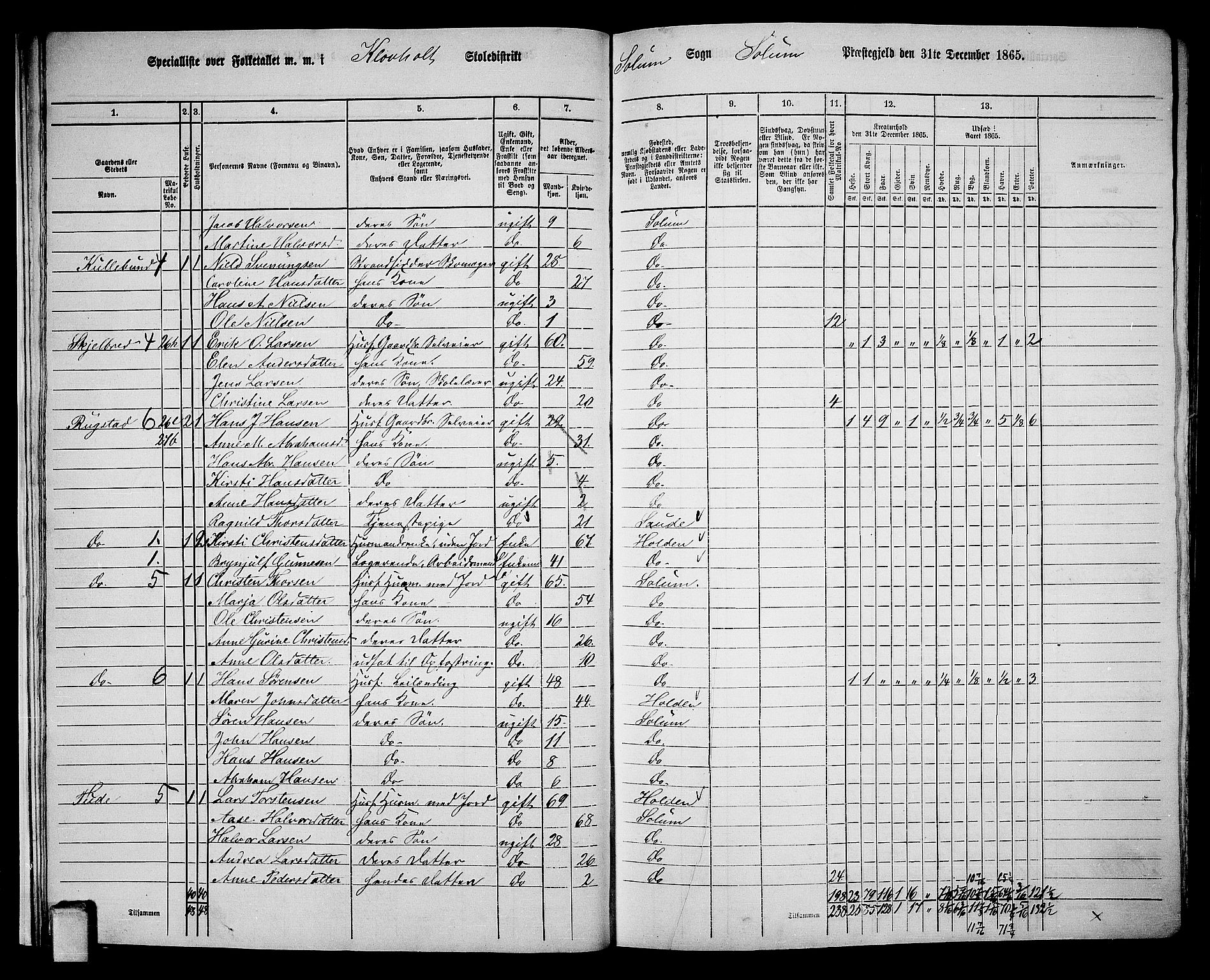 RA, 1865 census for Solum, 1865, p. 23