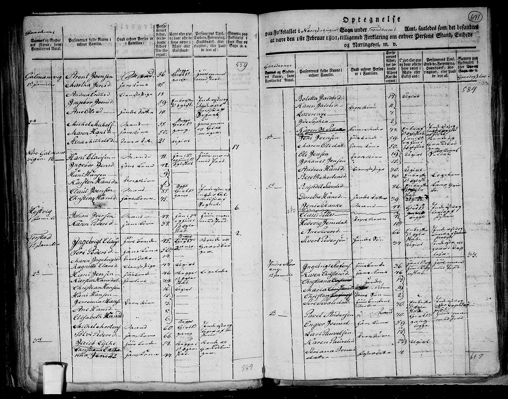 RA, 1801 census for 1751P Nærøy, 1801, p. 690b-691a