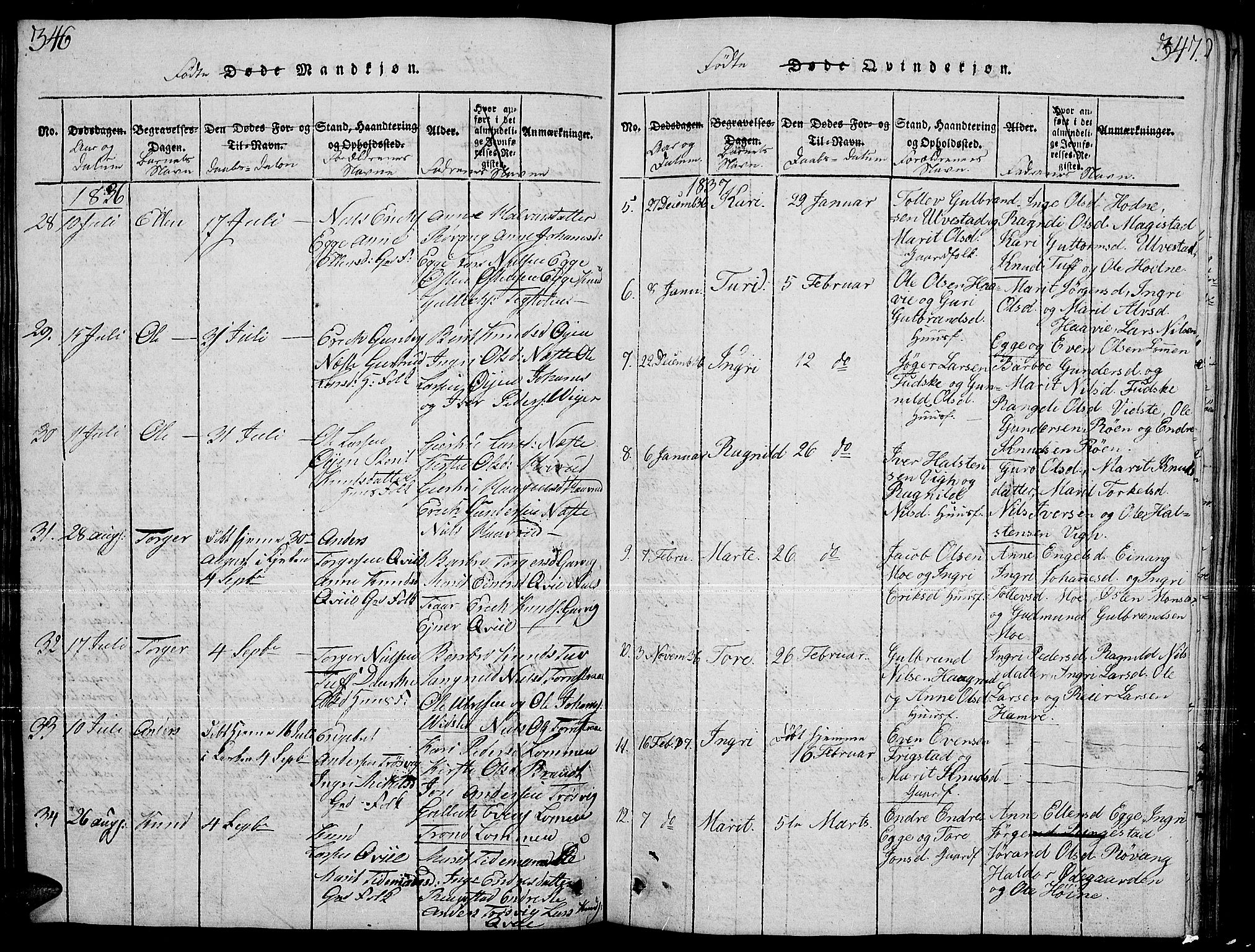 Slidre prestekontor, SAH/PREST-134/H/Ha/Hab/L0001: Parish register (copy) no. 1, 1814-1838, p. 346-347