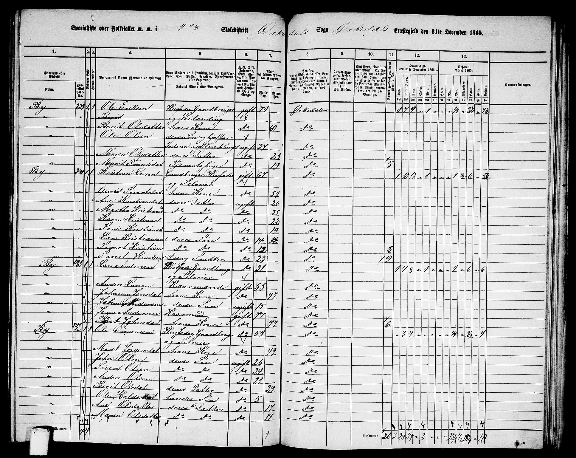 RA, 1865 census for Orkdal, 1865, p. 226