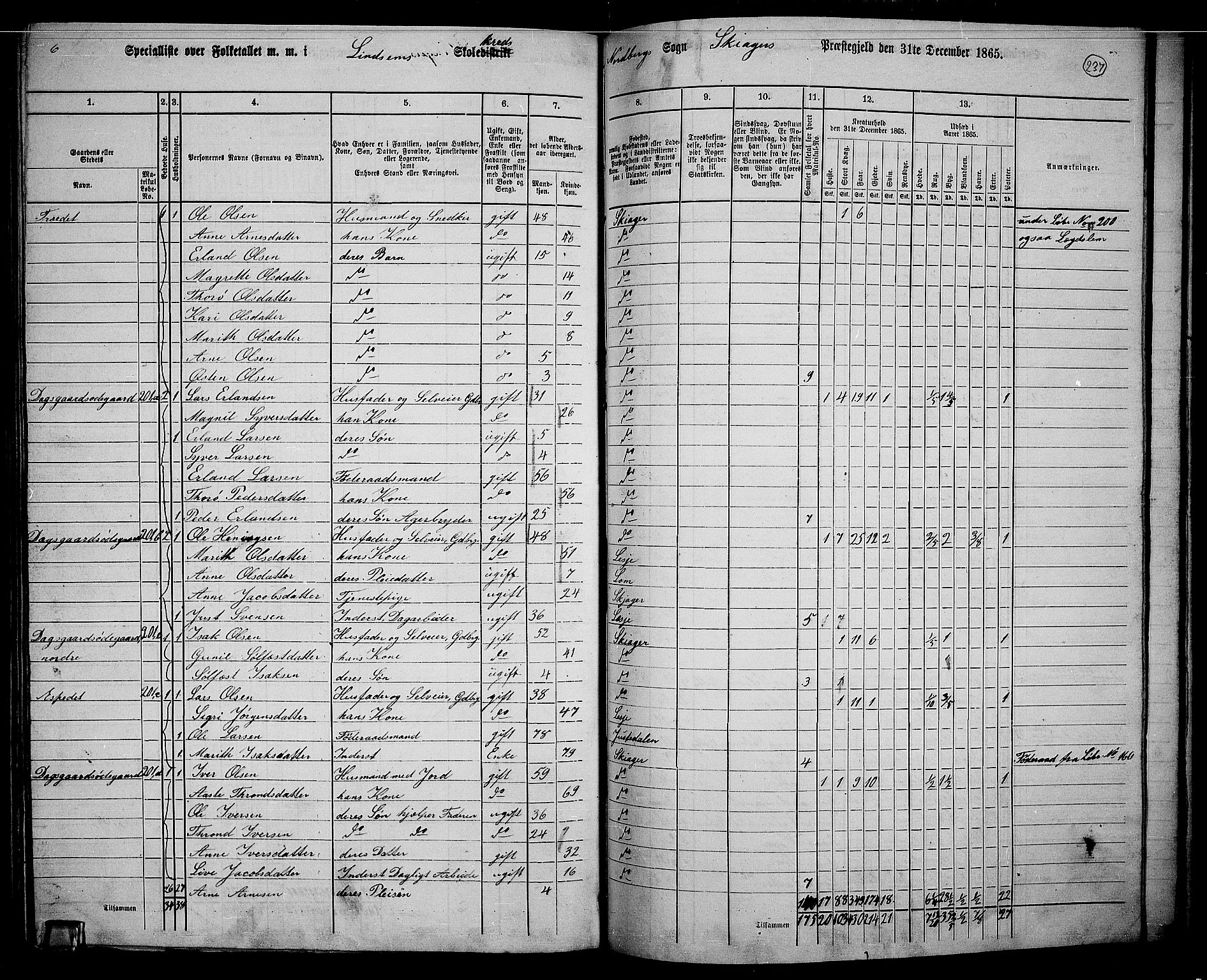 RA, 1865 census for Skjåk, 1865, p. 84