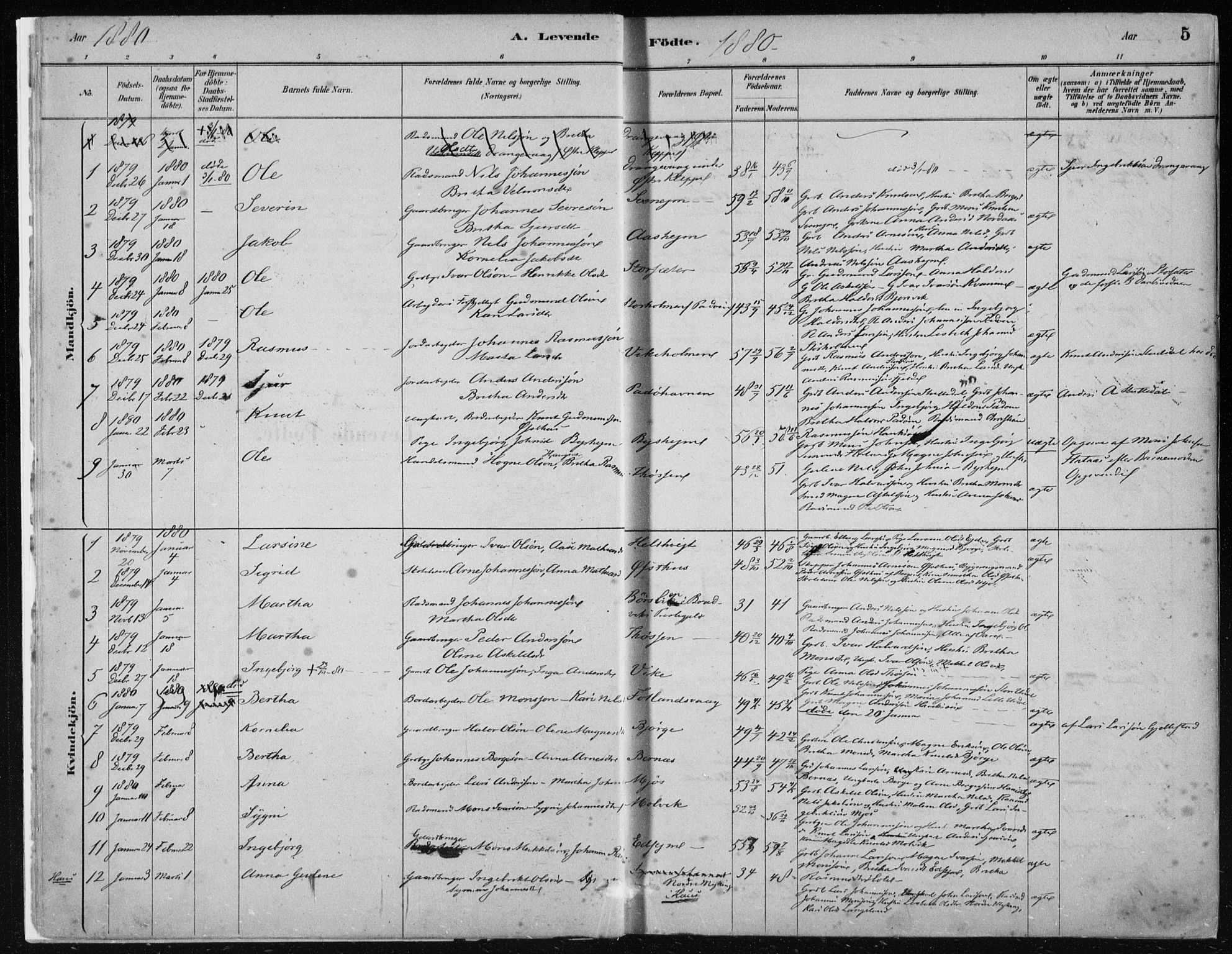 Hosanger sokneprestembete, AV/SAB-A-75801/H/Haa: Parish register (official) no. B  1, 1880-1896, p. 5