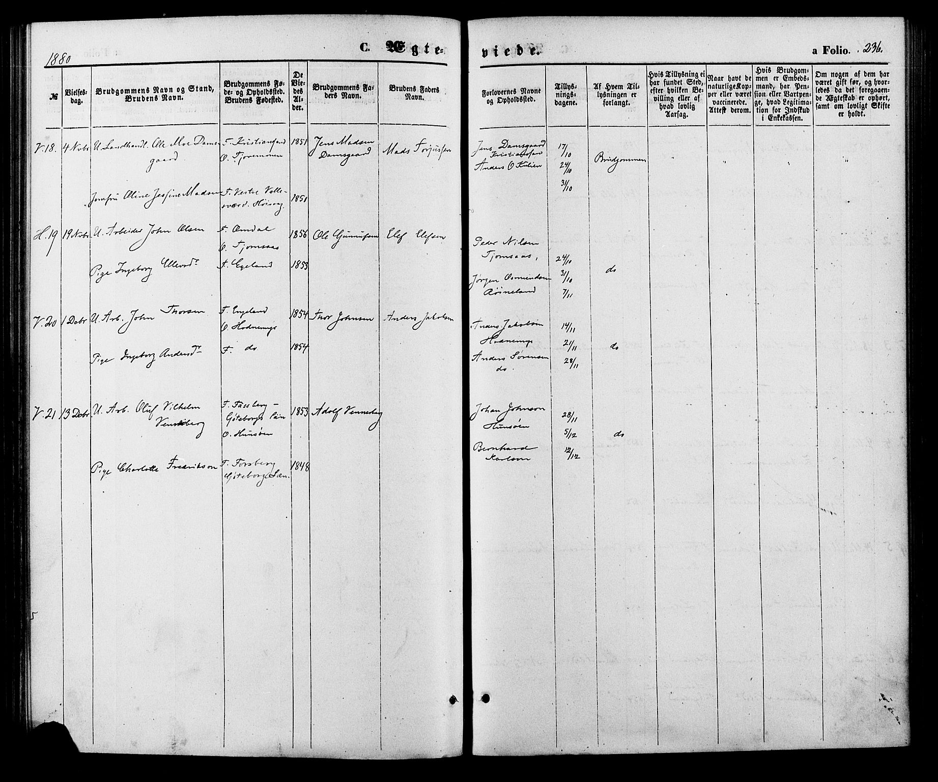 Vennesla sokneprestkontor, AV/SAK-1111-0045/Fa/Fac/L0008: Parish register (official) no. A 8, 1874-1883, p. 236