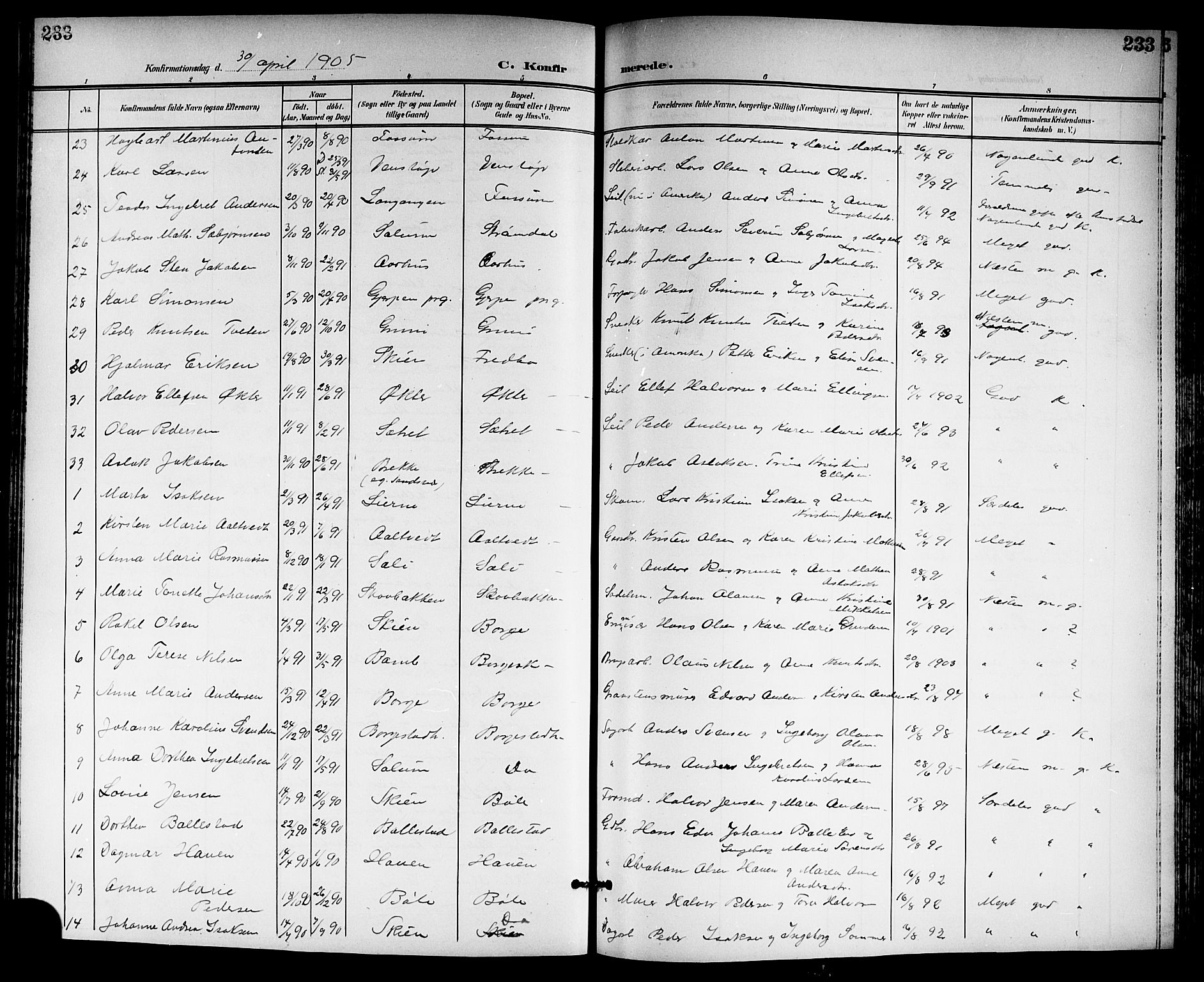 Gjerpen kirkebøker, SAKO/A-265/G/Ga/L0003: Parish register (copy) no. I 3, 1901-1919, p. 233
