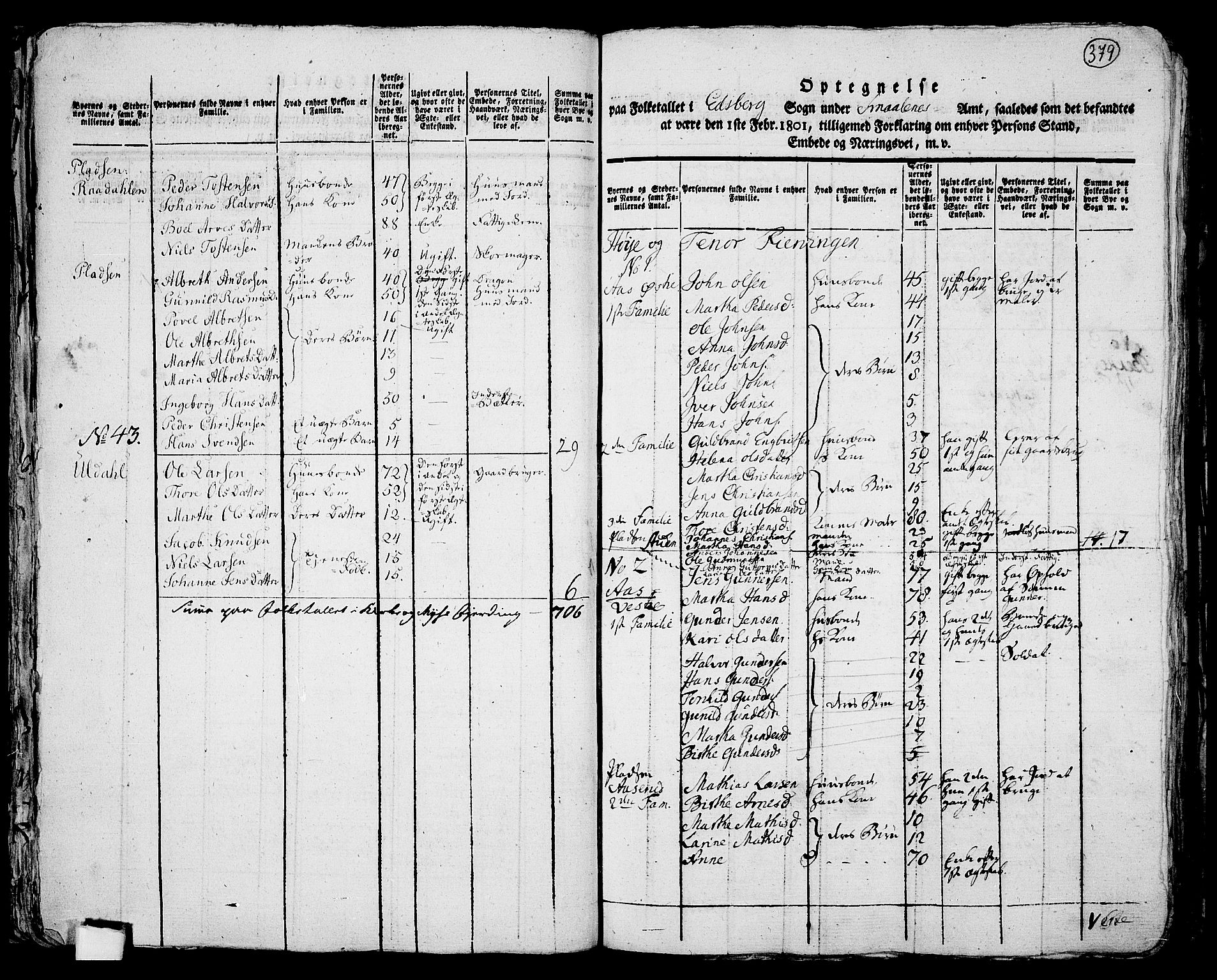 RA, 1801 census for 0125P Eidsberg, 1801, p. 378b-379a