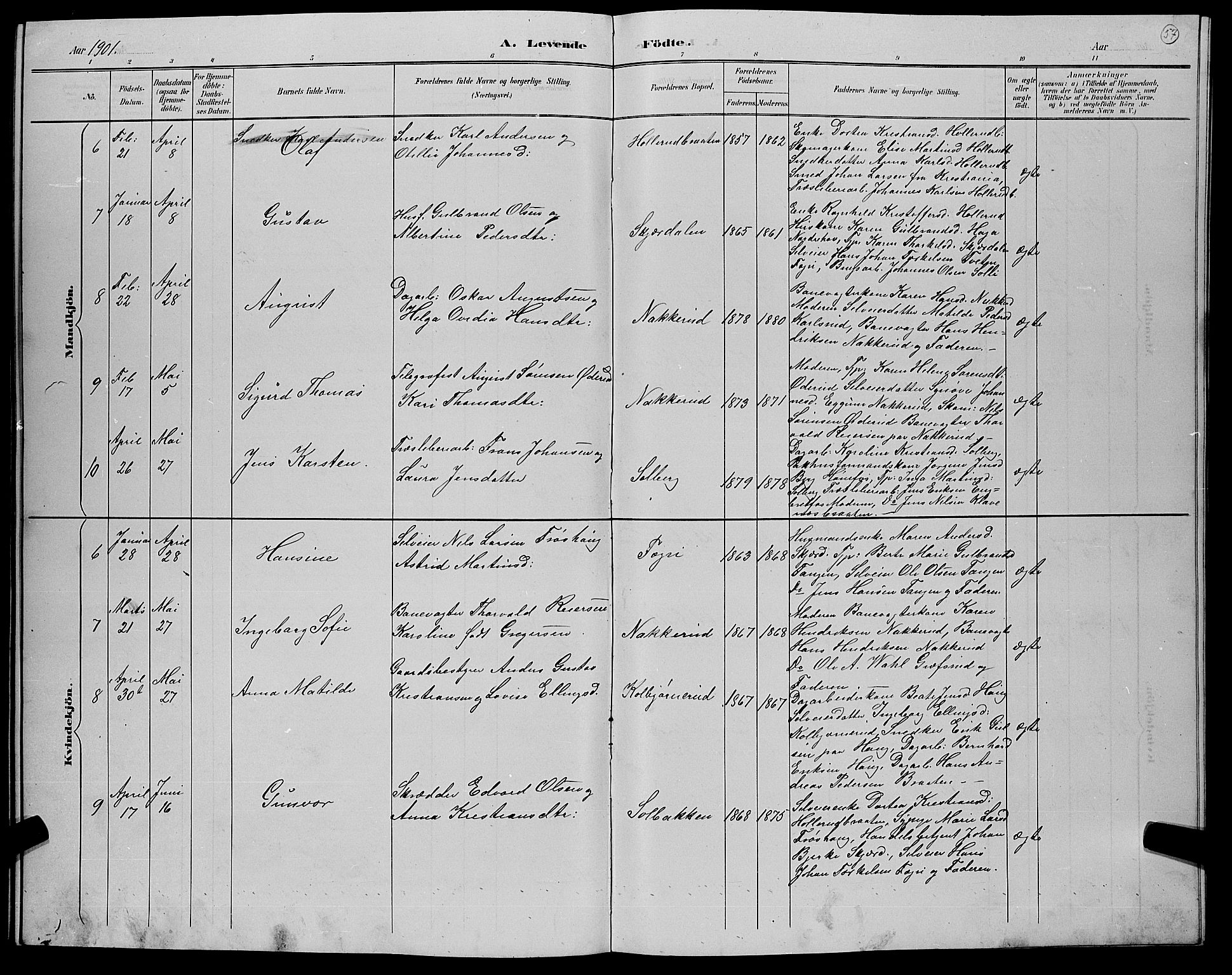 Hole kirkebøker, AV/SAKO-A-228/G/Gb/L0003: Parish register (copy) no. II 3, 1890-1901, p. 57