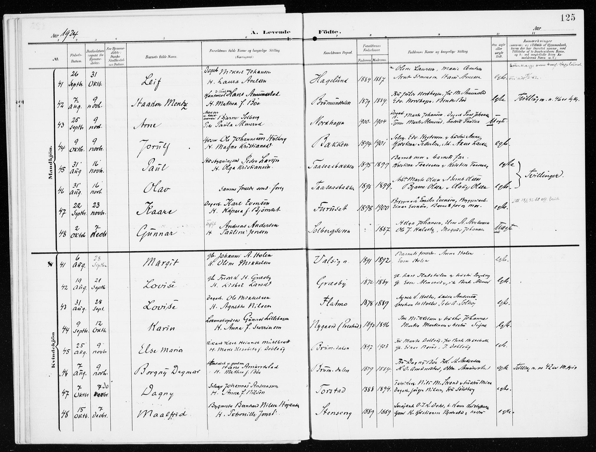 Furnes prestekontor, AV/SAH-PREST-012/K/Ka/L0001: Parish register (official) no. 1, 1907-1935, p. 125