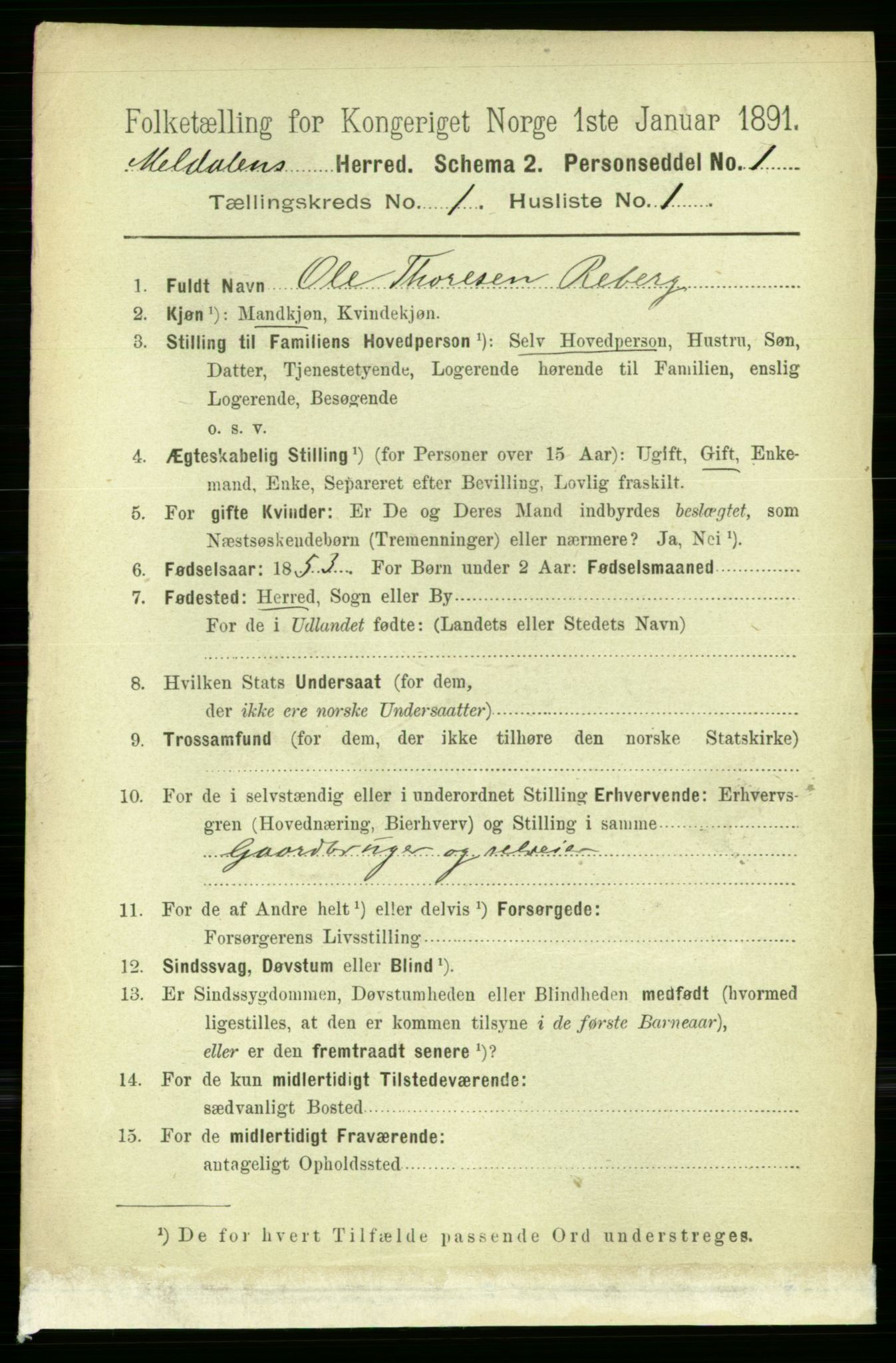 RA, 1891 census for 1636 Meldal, 1891, p. 155